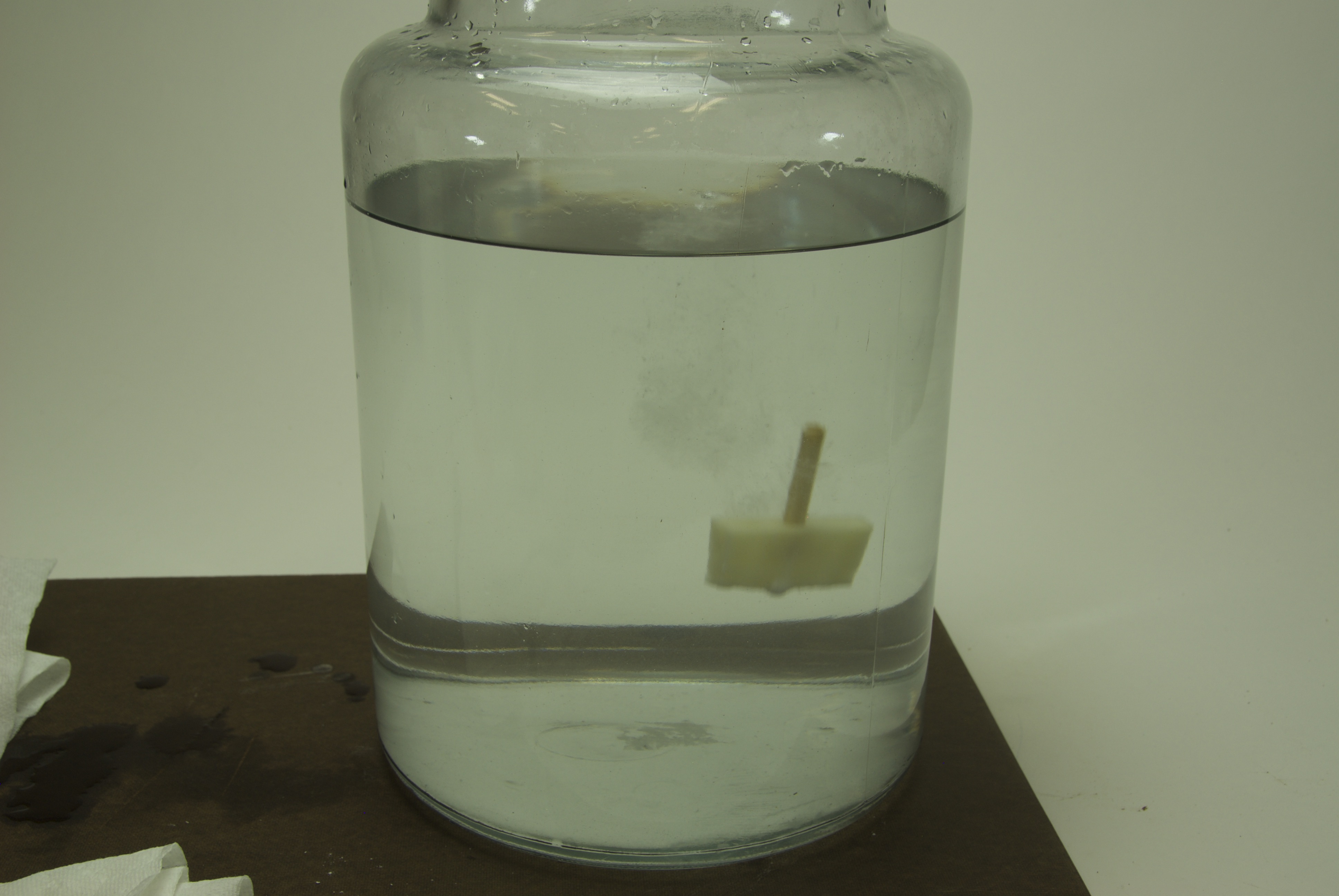 Project step photo 2