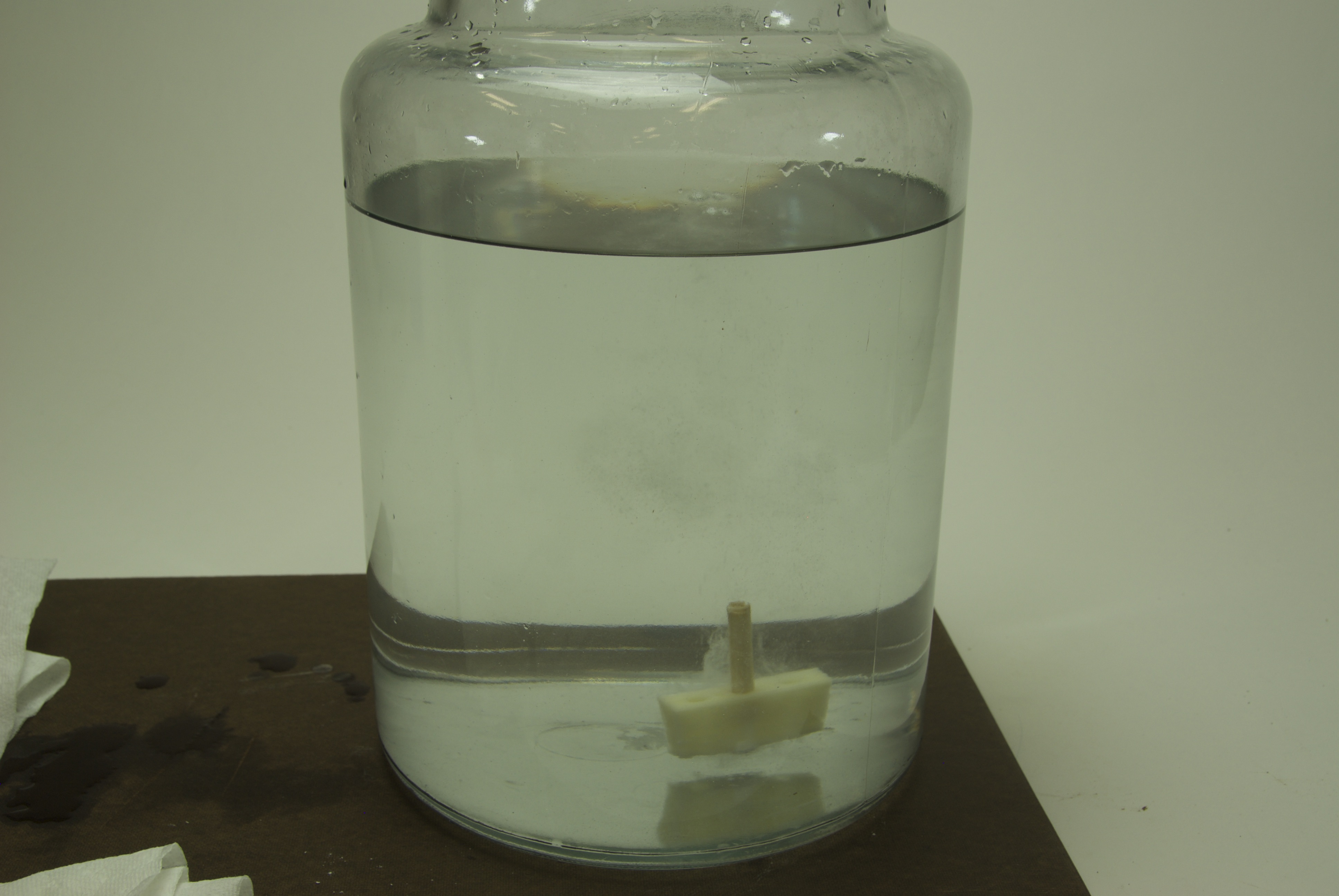 Project step photo 2