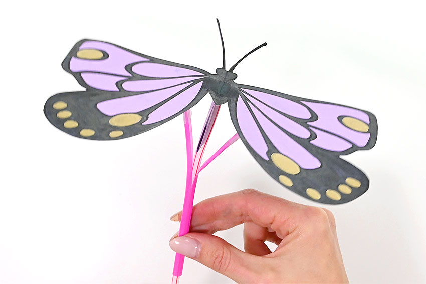 Flapping butterfly - Maker Faire Syracuse