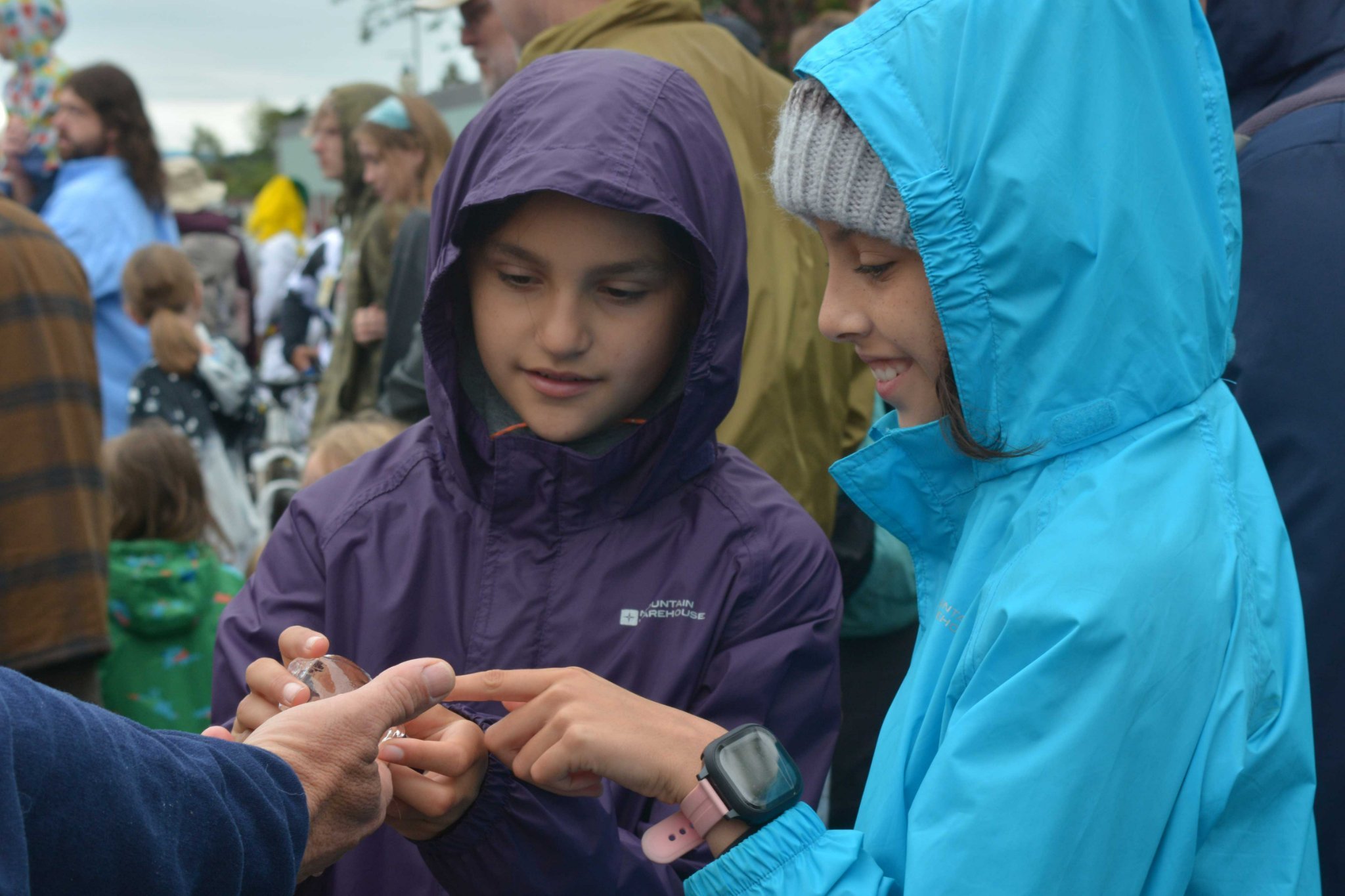 Humpbacks of Notre Dame: How to Use Your Project in Activism - Maker Faire Bay Area