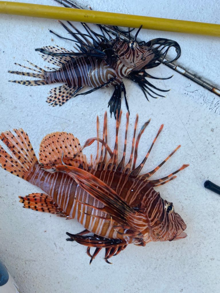 Lionfish Huntress - Maker Faire Palm Beach