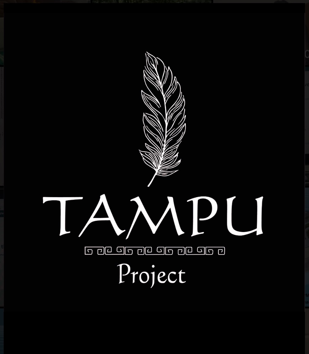 Tampu Project - Maker Faire Coney Island