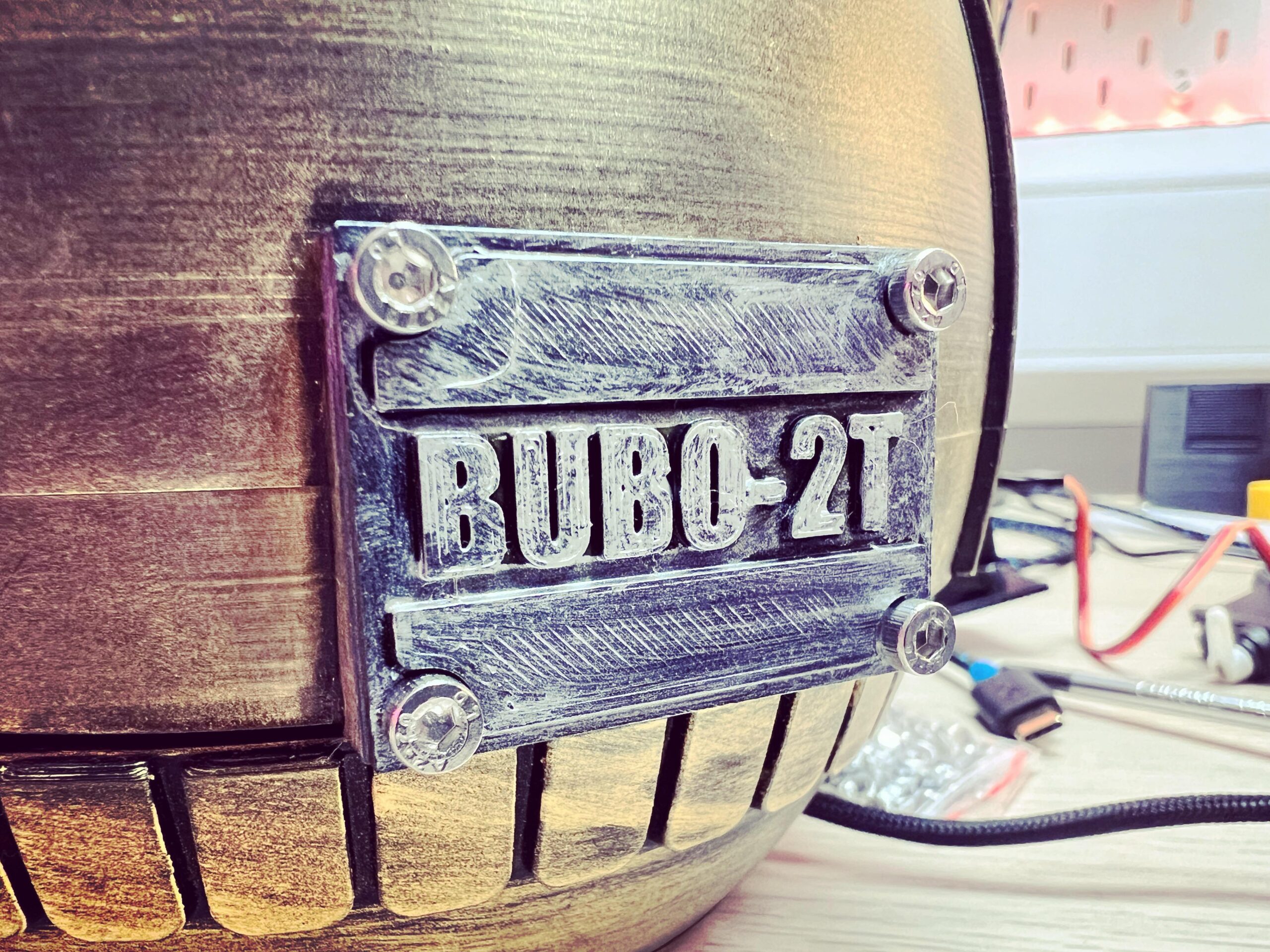 Bubo-2T - 2r0xjJ7hcI691.jpeg