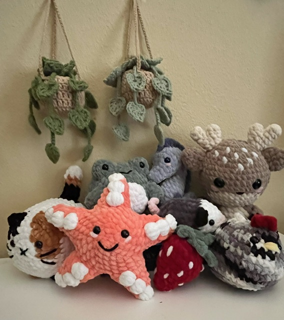 Purr-fect Stitches by Miranda - Maker Faire Rocklin 2024