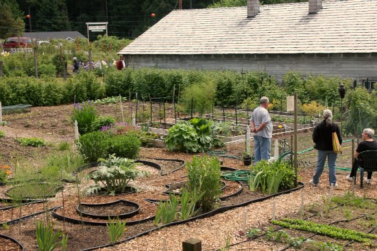 anderson island community garden