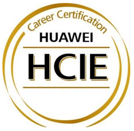 HCIE