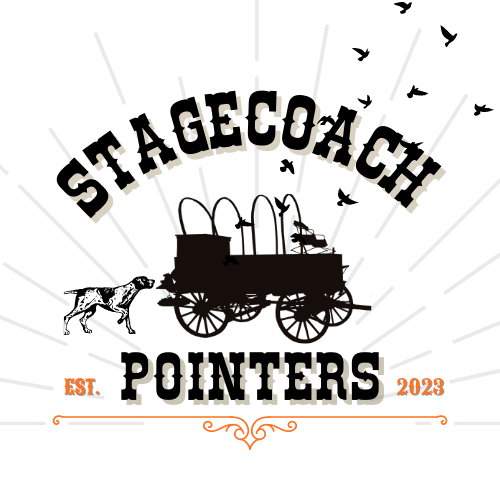 Stagecoach Pointers
