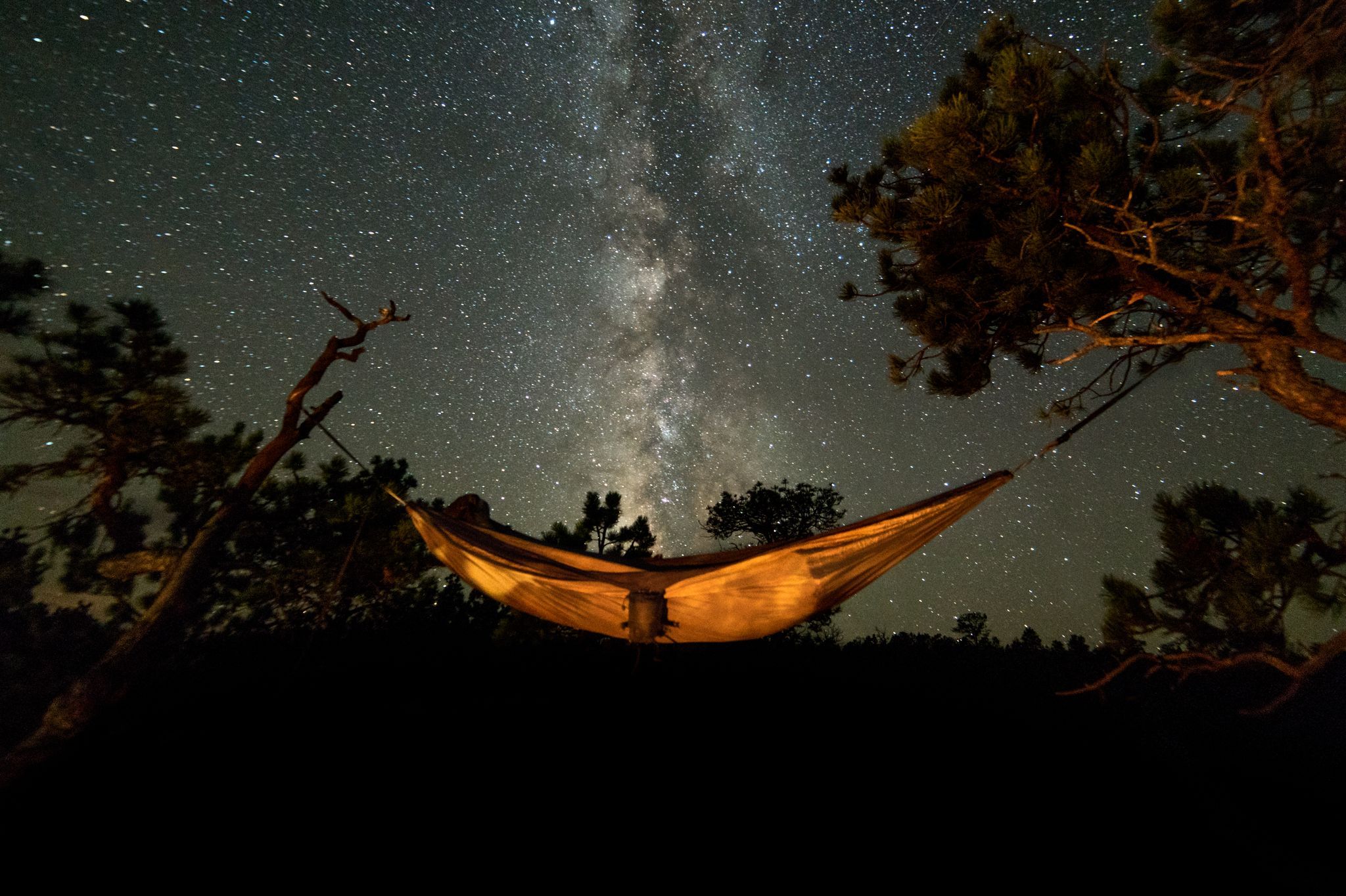 hammock5