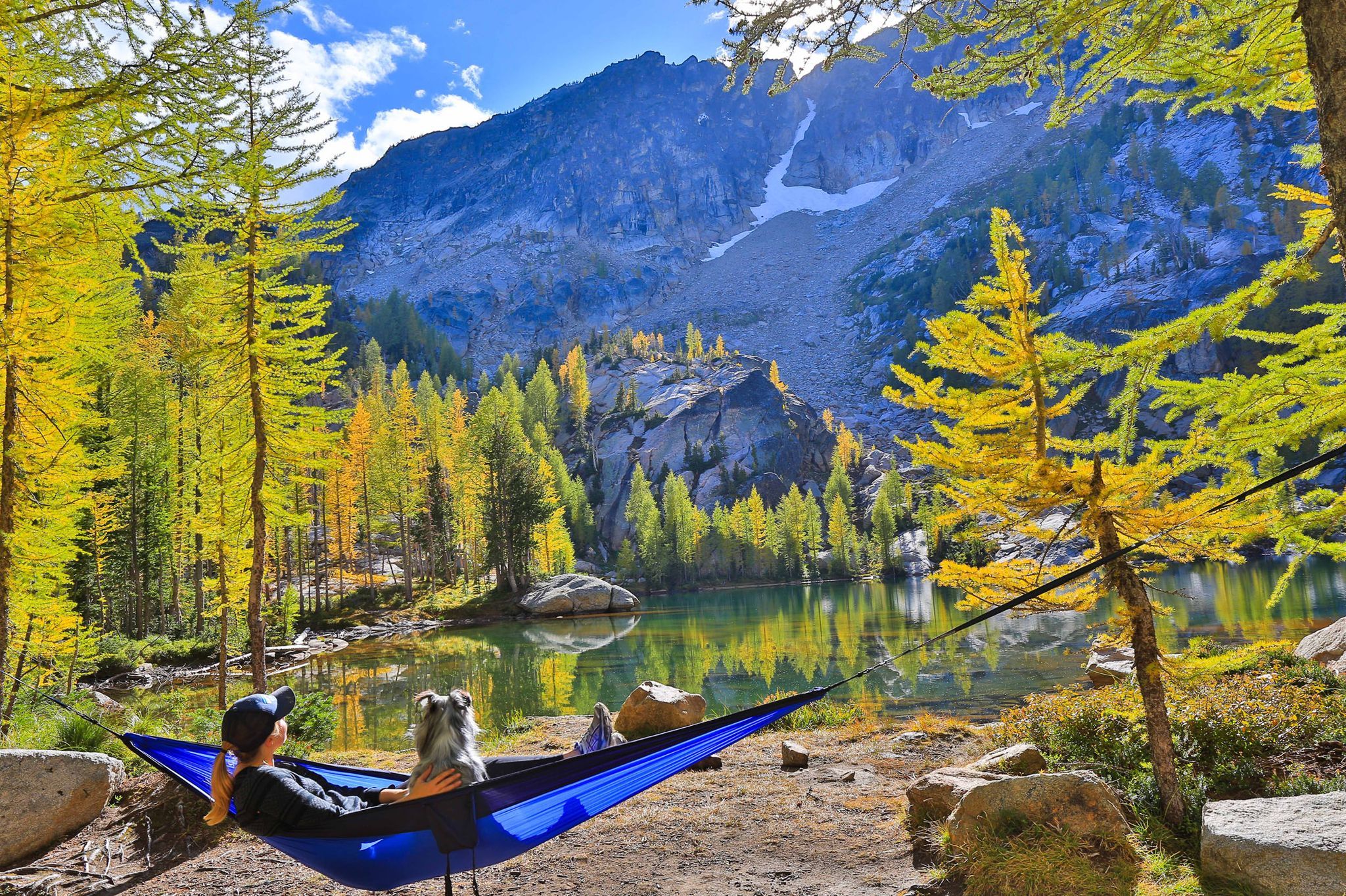 hammock7