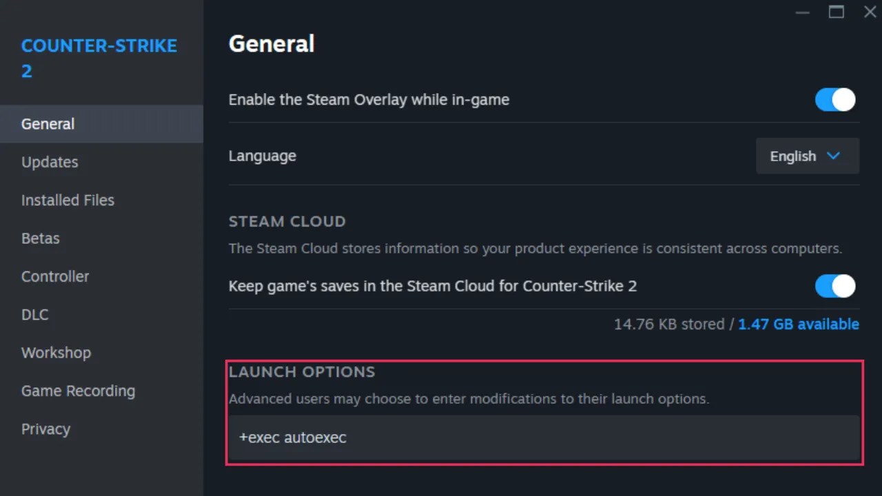 autoexec in launch options