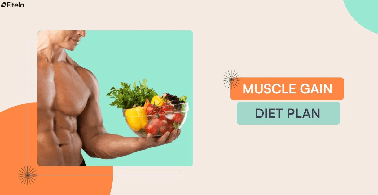Muscle Gain Diet Plan