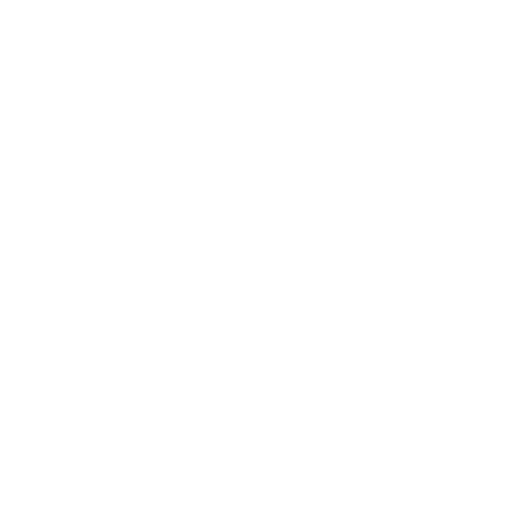 Bracknell Forest white logo