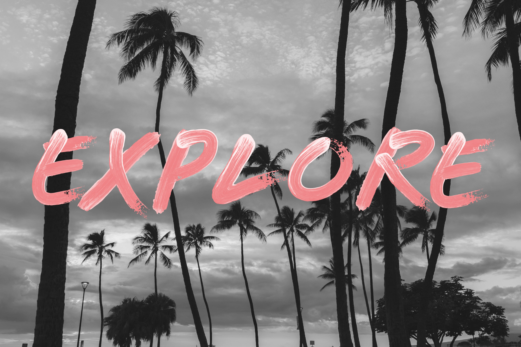 Palm trees with painted type 'Explore' made using Acrylic paint brushes for Affinity Designer