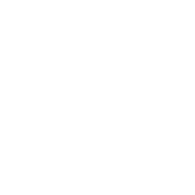 RT