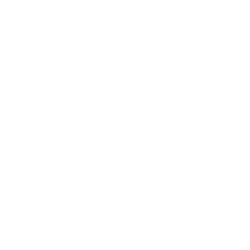 The Hill