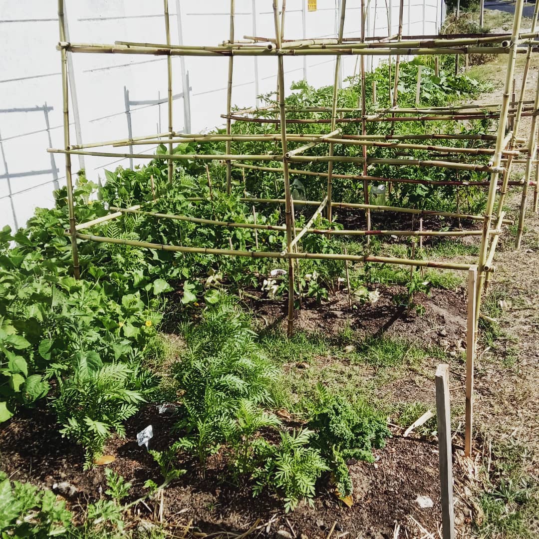 Community Garden