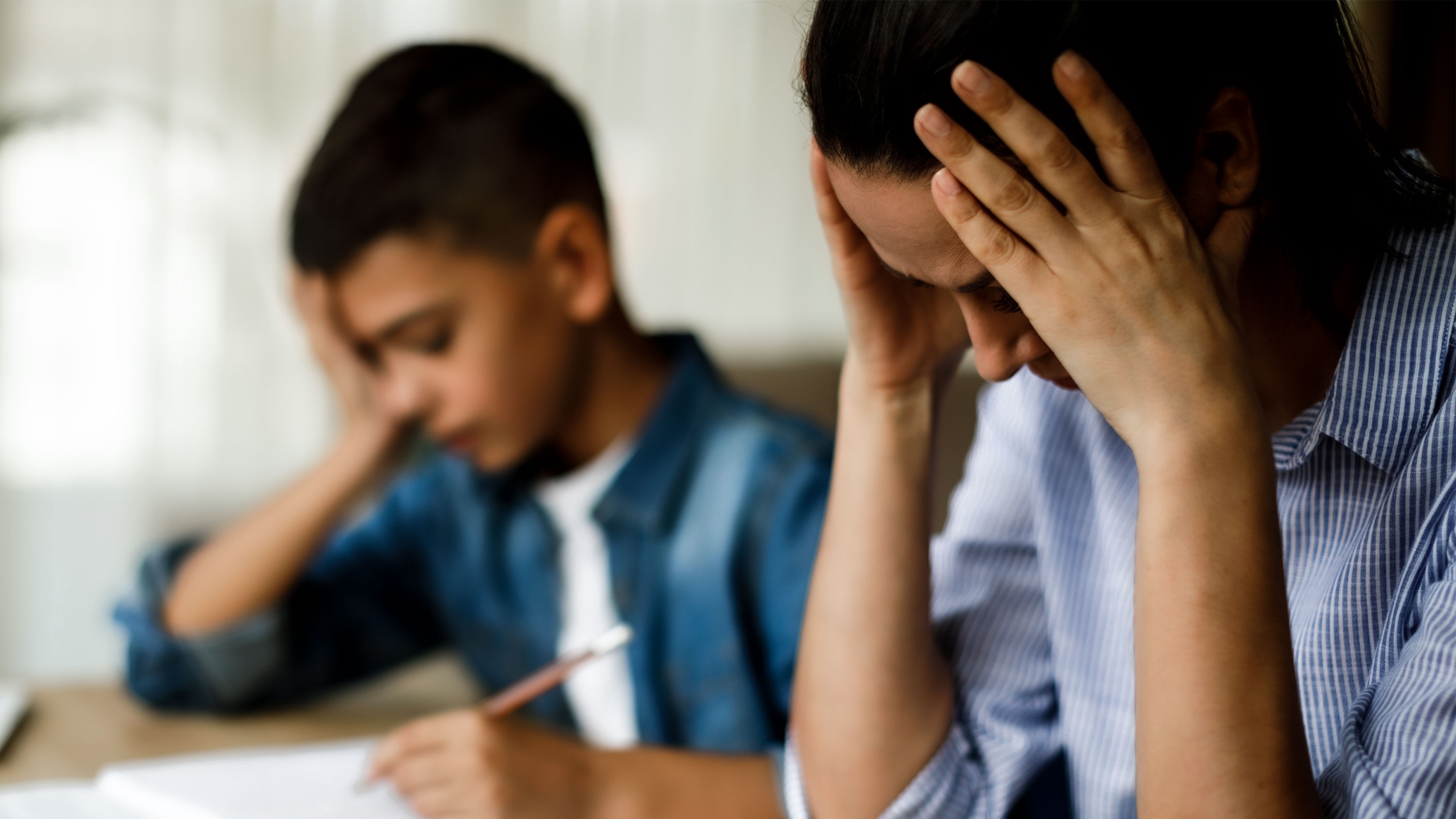 Have you ever wondered what happened to that kid behind the funny meme going around on so. Common homework frustrations and how to avoid them | Cluey