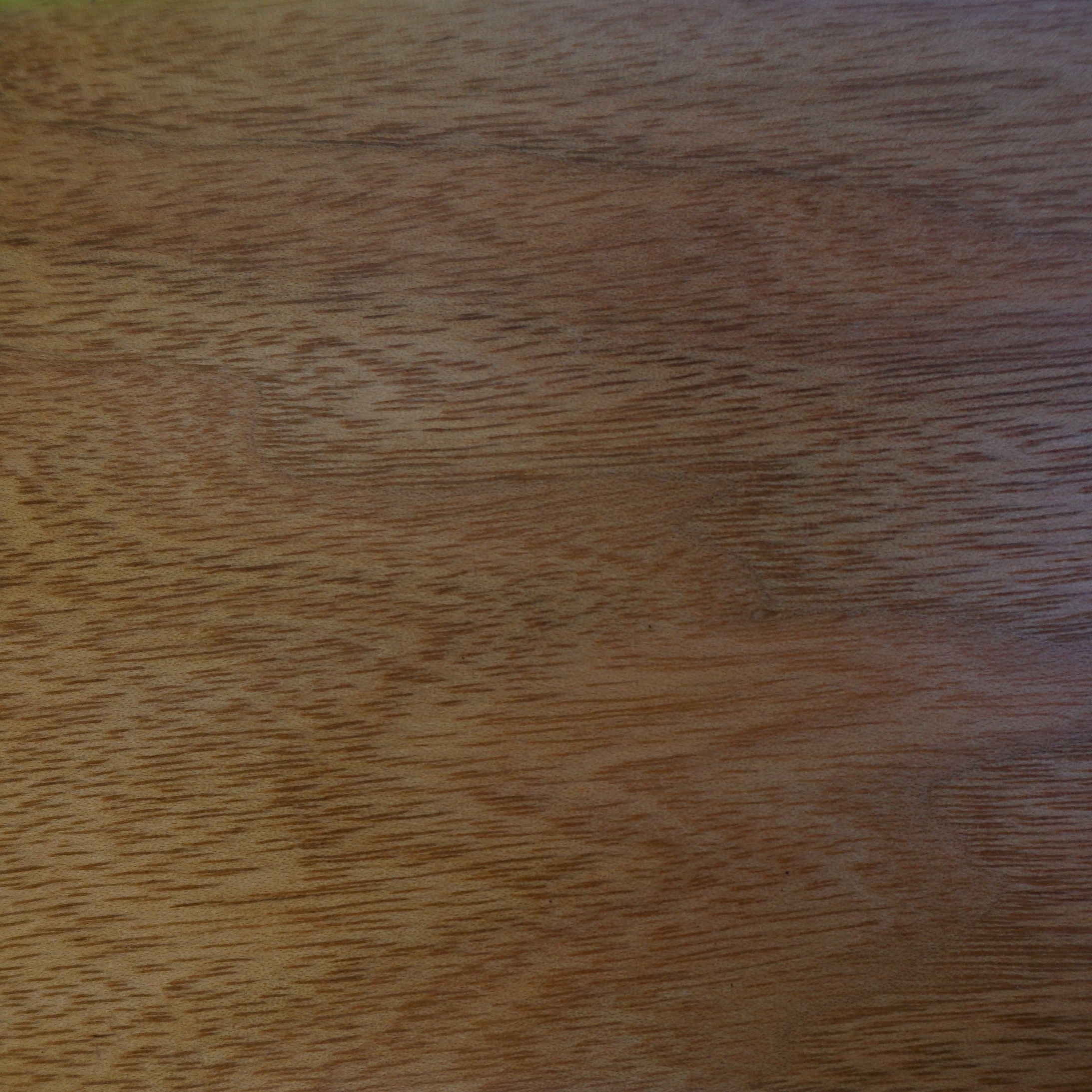 Butternut