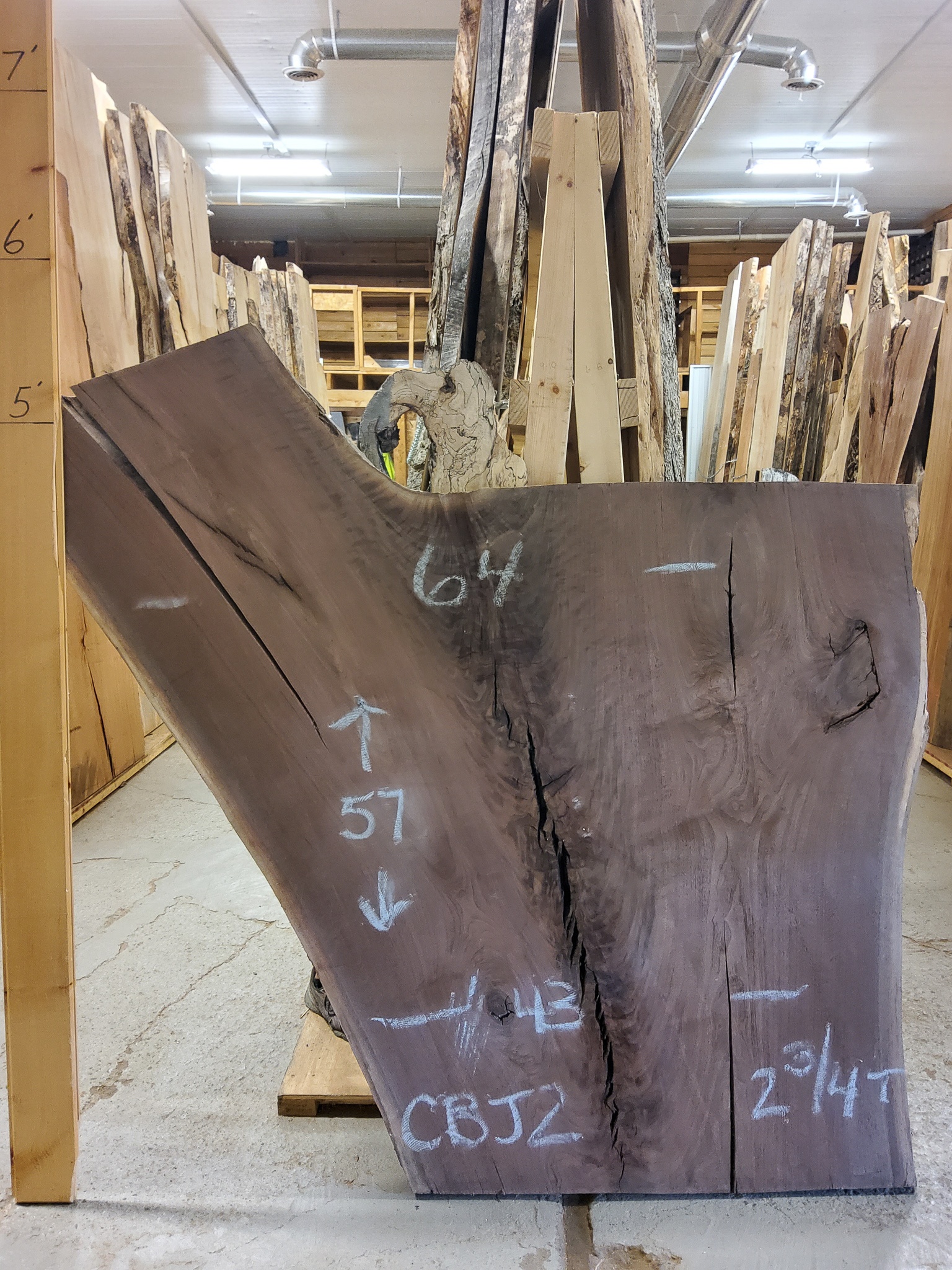 Walnut SKU-CBJ2