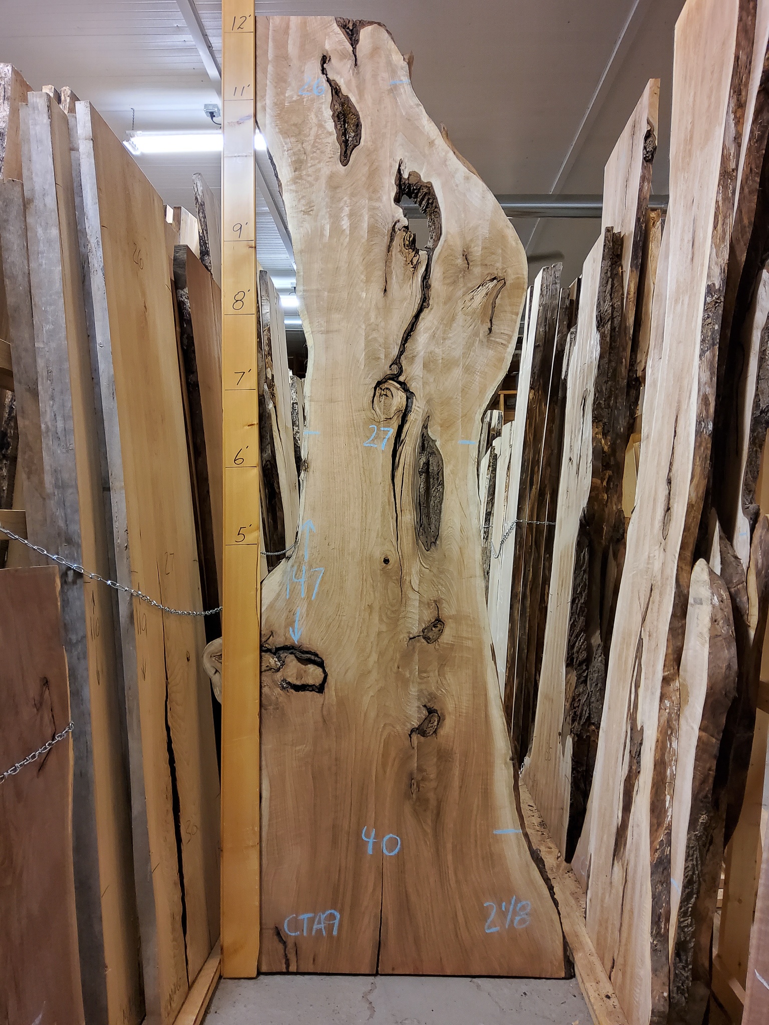 Butternut SKU-CTA9