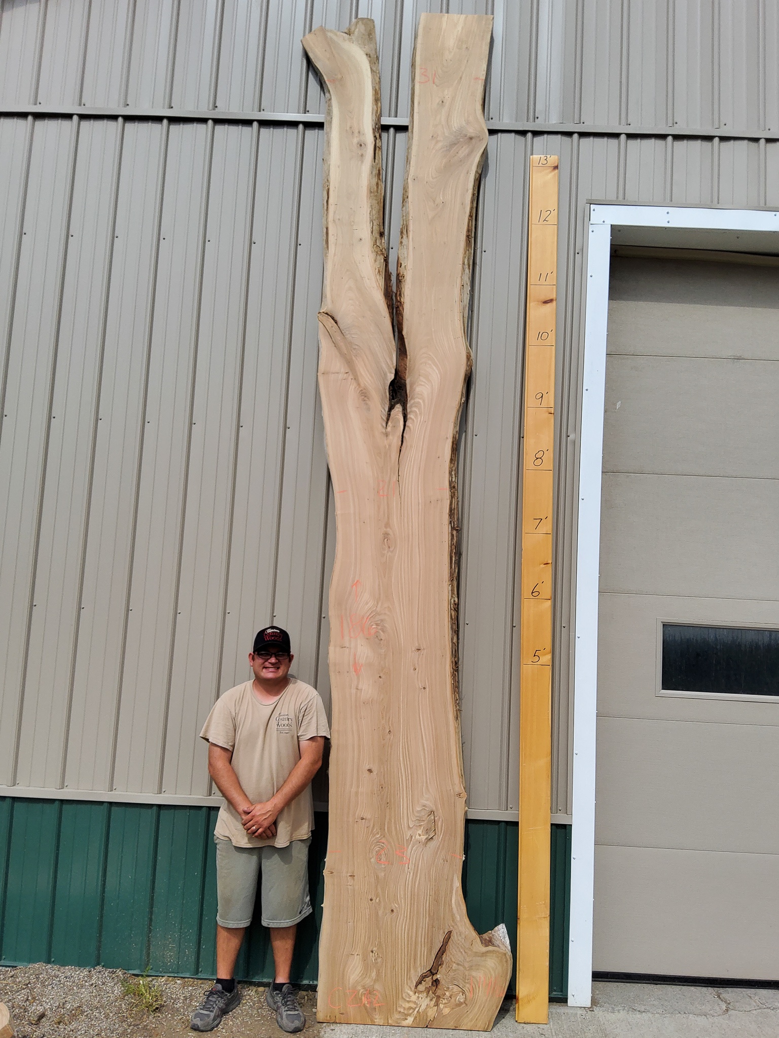 Red Elm SKU-CZA2