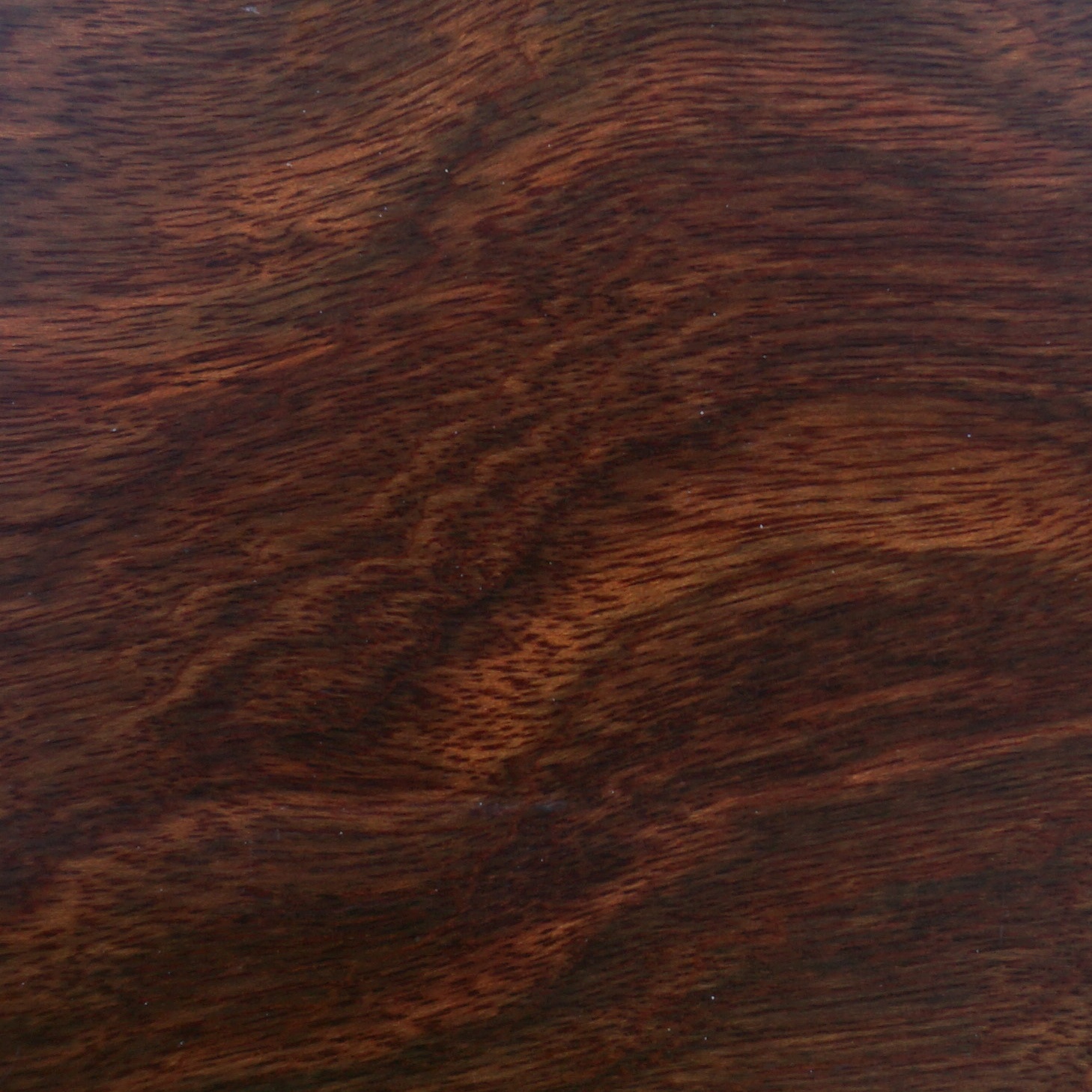 Caribbean Rosewood