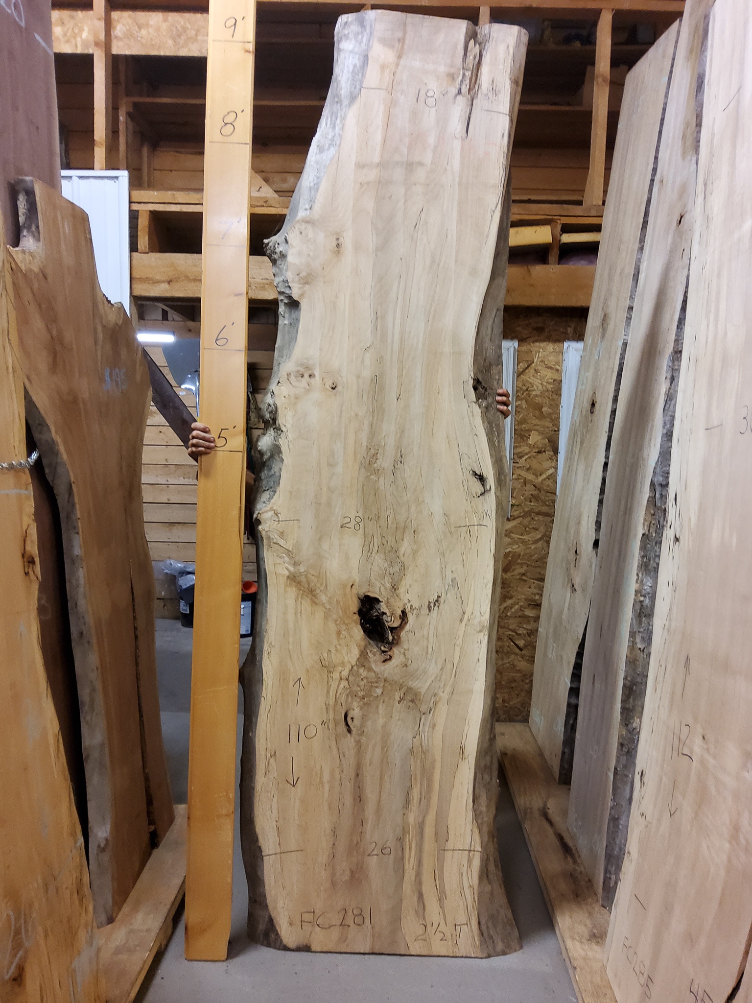 Soft Maple (Spalted) SKU-FC281