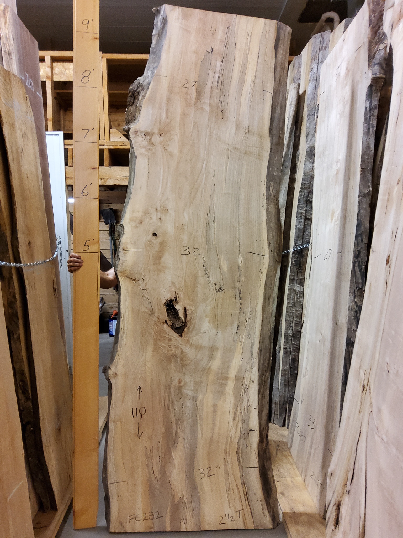 Soft Maple (Spalted) SKU-FC282