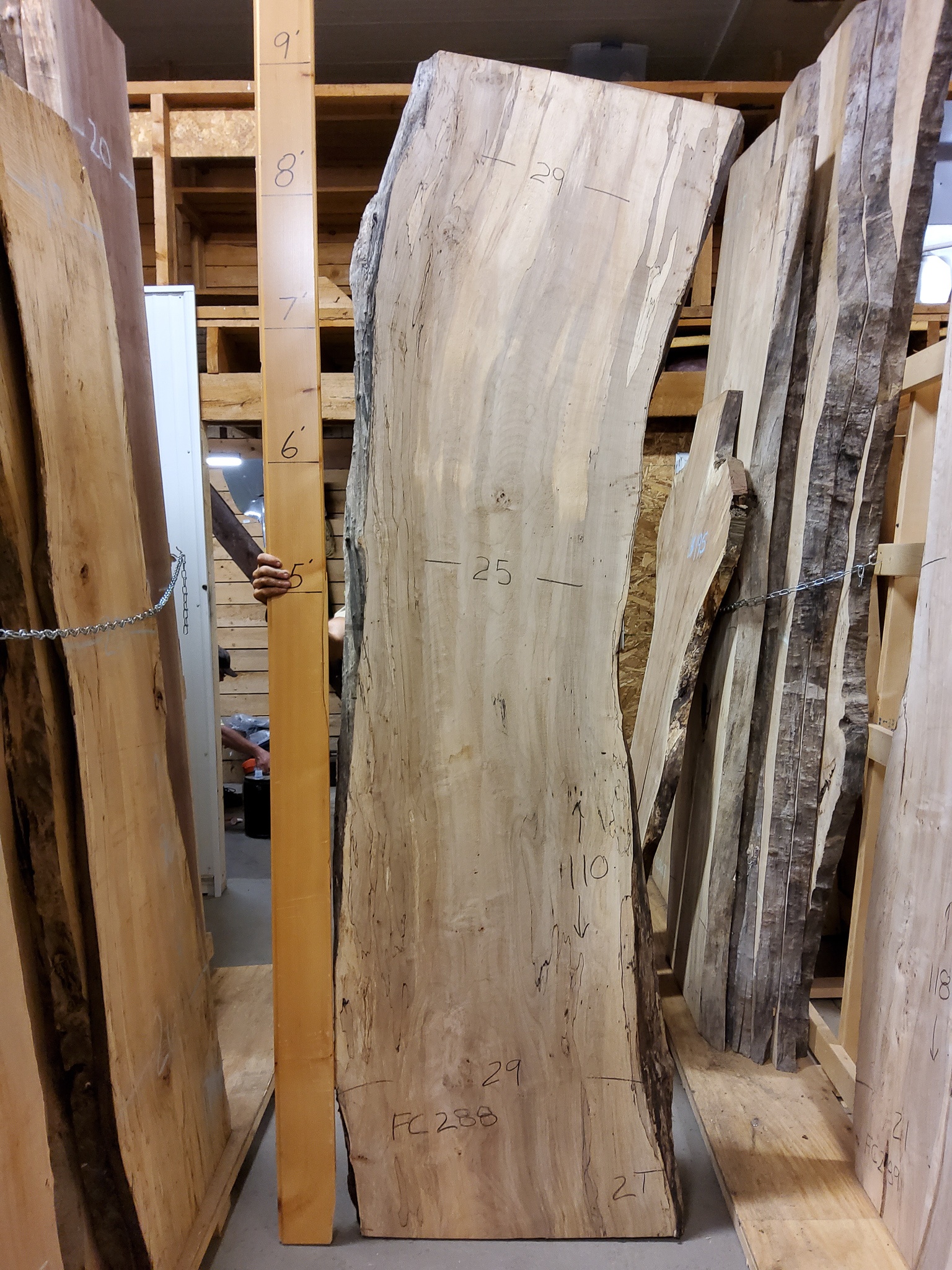 Soft Maple (Spalted) SKU-FC288