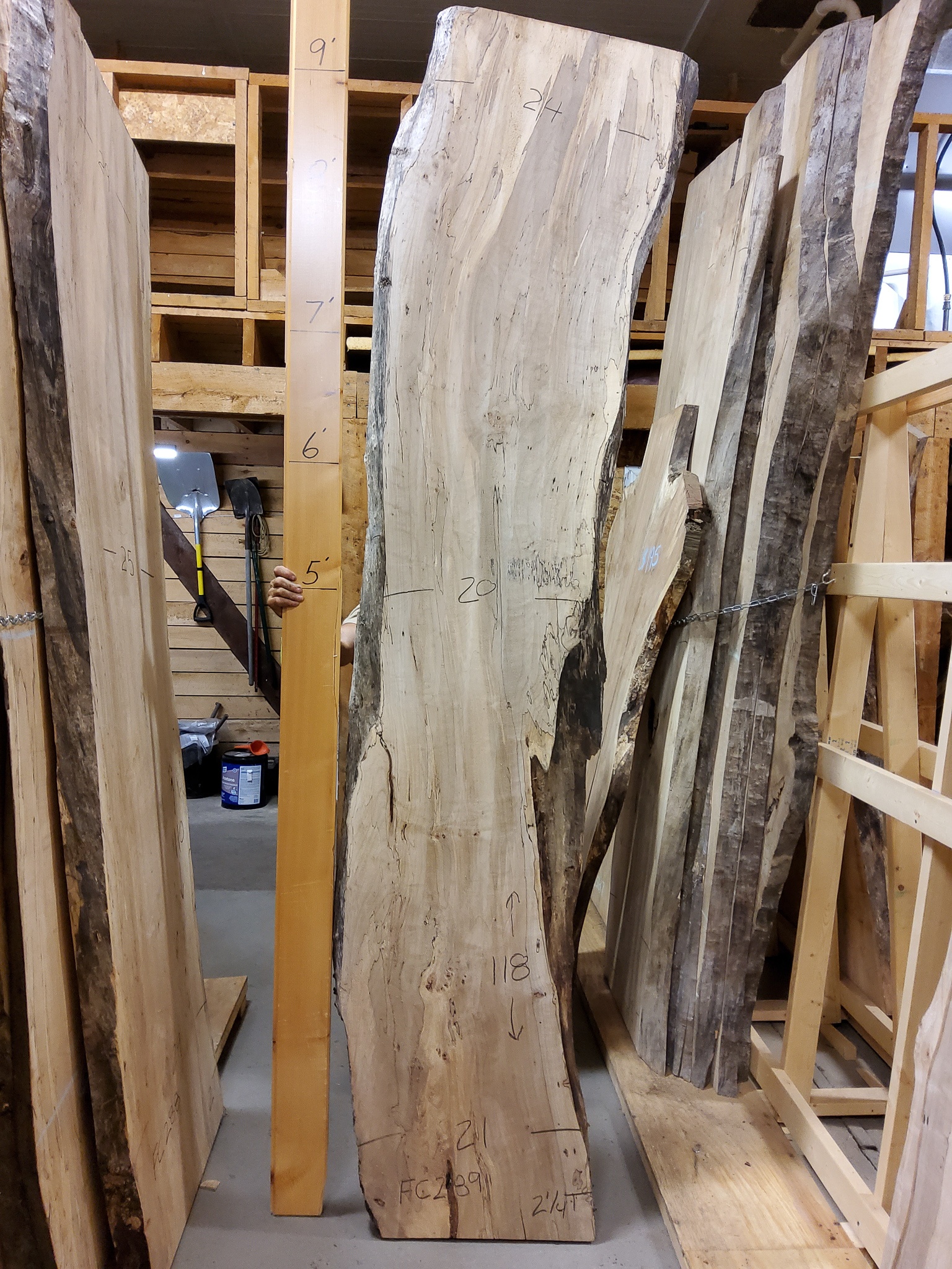 Soft Maple (Spalted) SKU-FC289