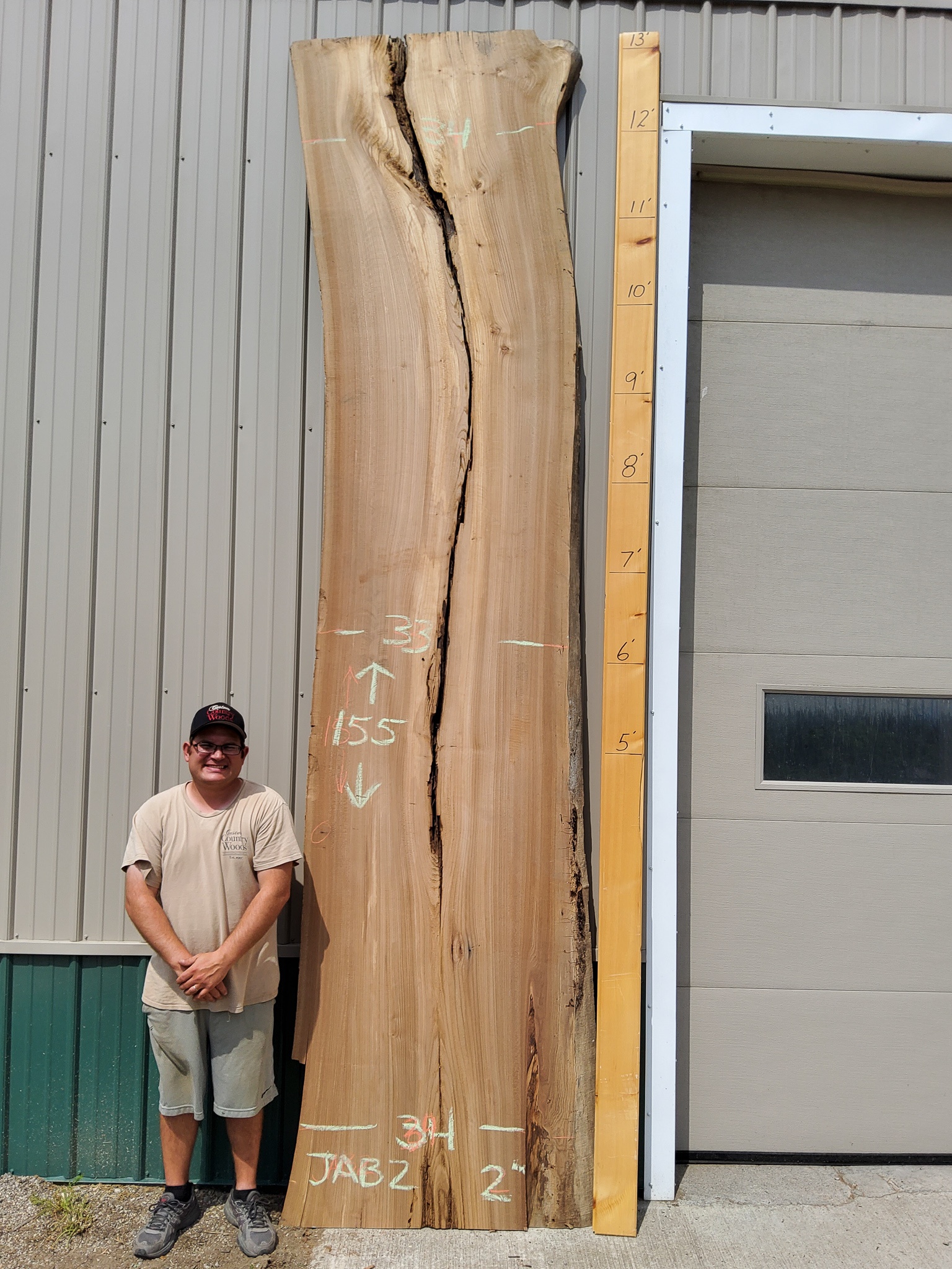 Scotch Elm SKU-JAB2