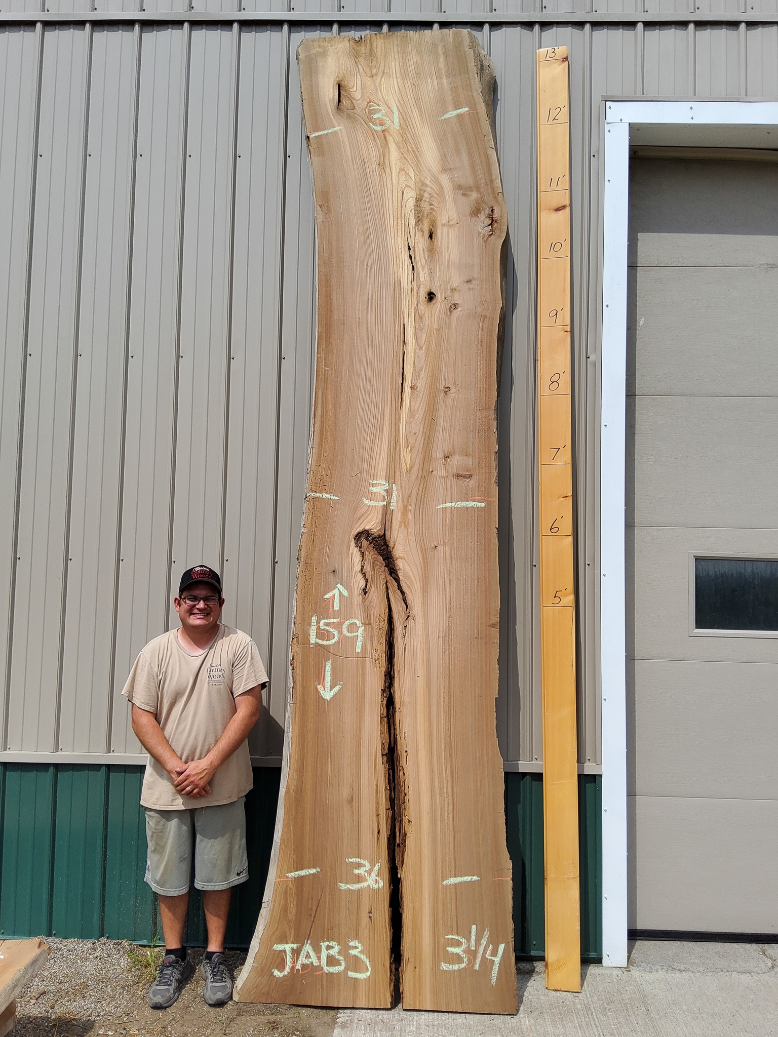 Scotch Elm SKU-JAB3