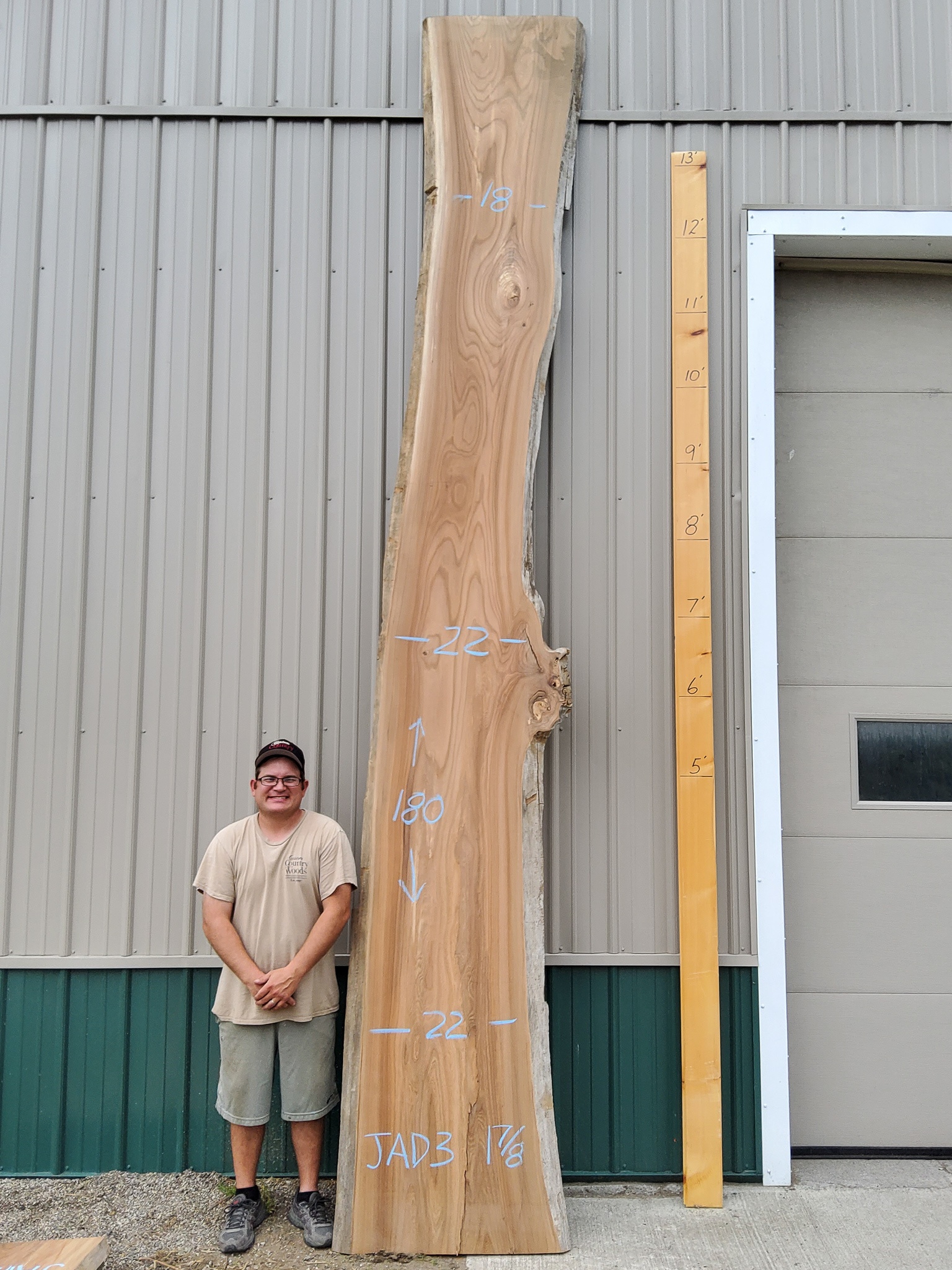 Scotch Elm SKU-JAD3