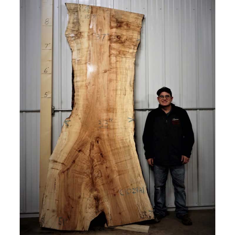 Hard Maple (Spalted) SKU-C1029A1