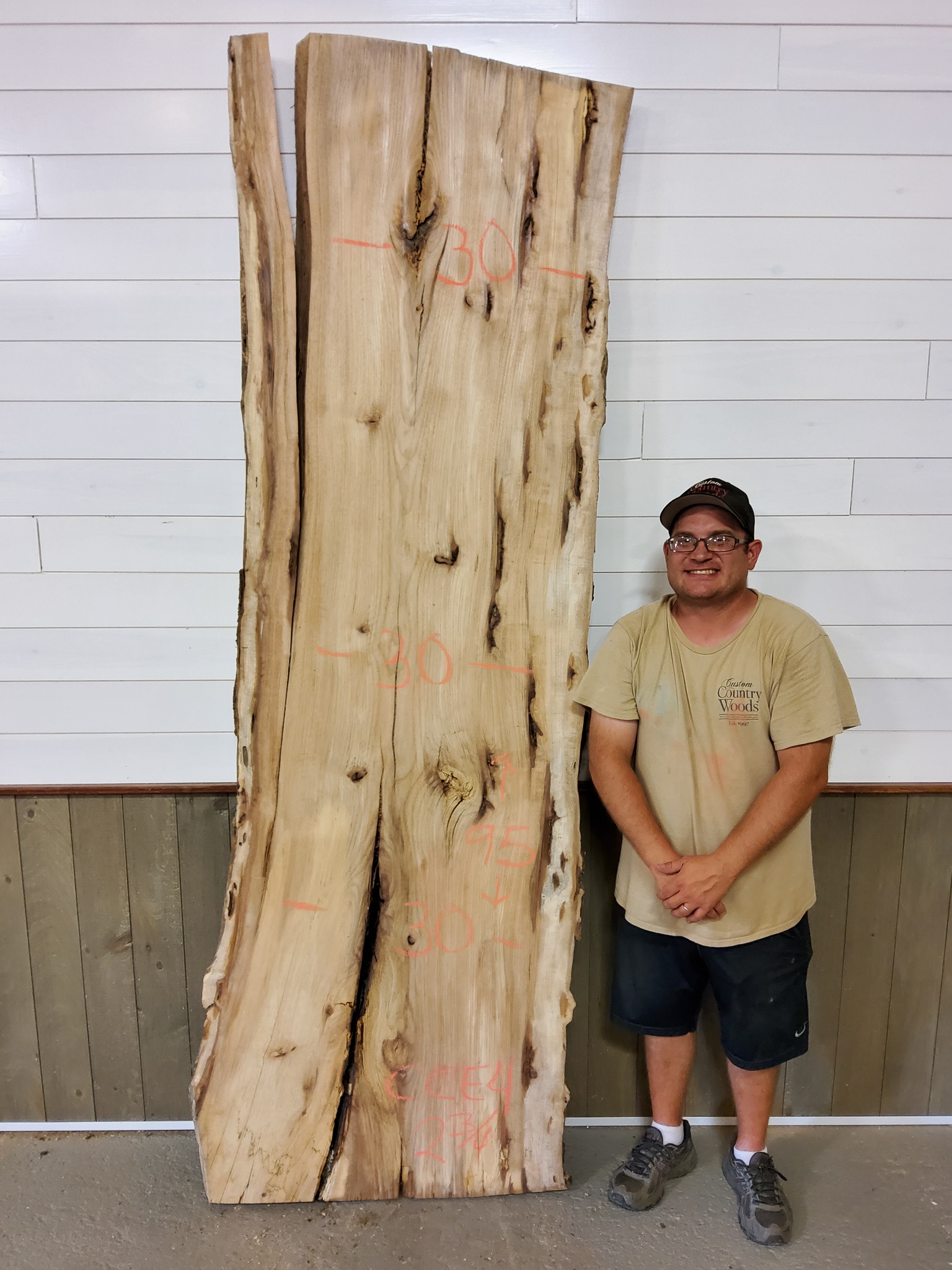 Hickory (Ingrown Bark) SKU-CCE4