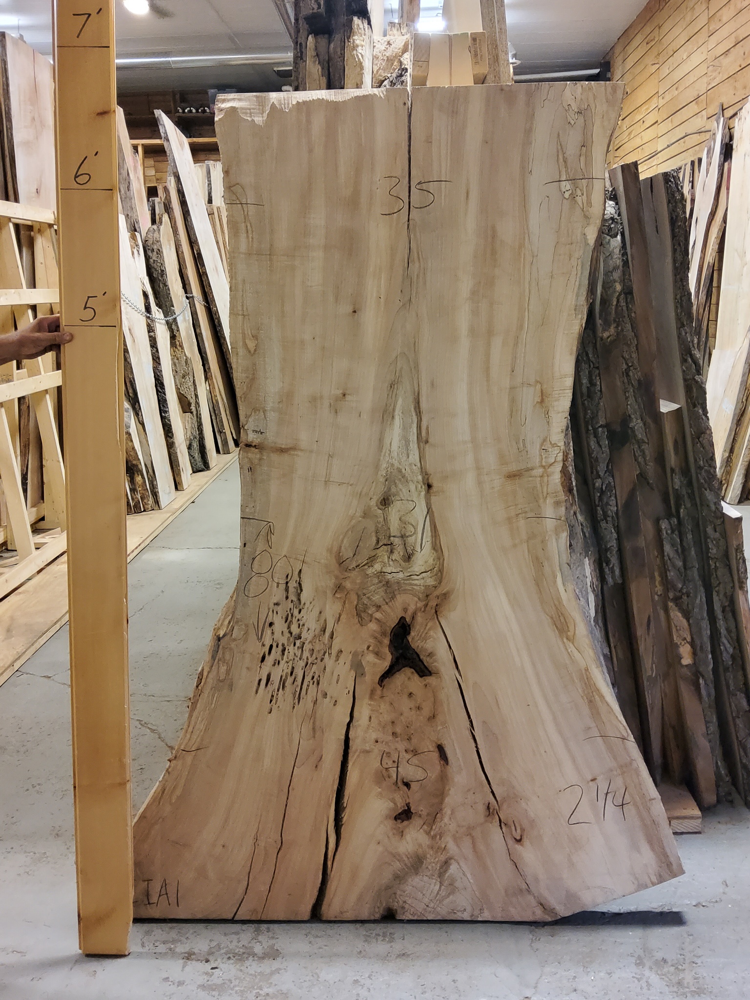 Hard Maple (Spalted) SKU-CIA1