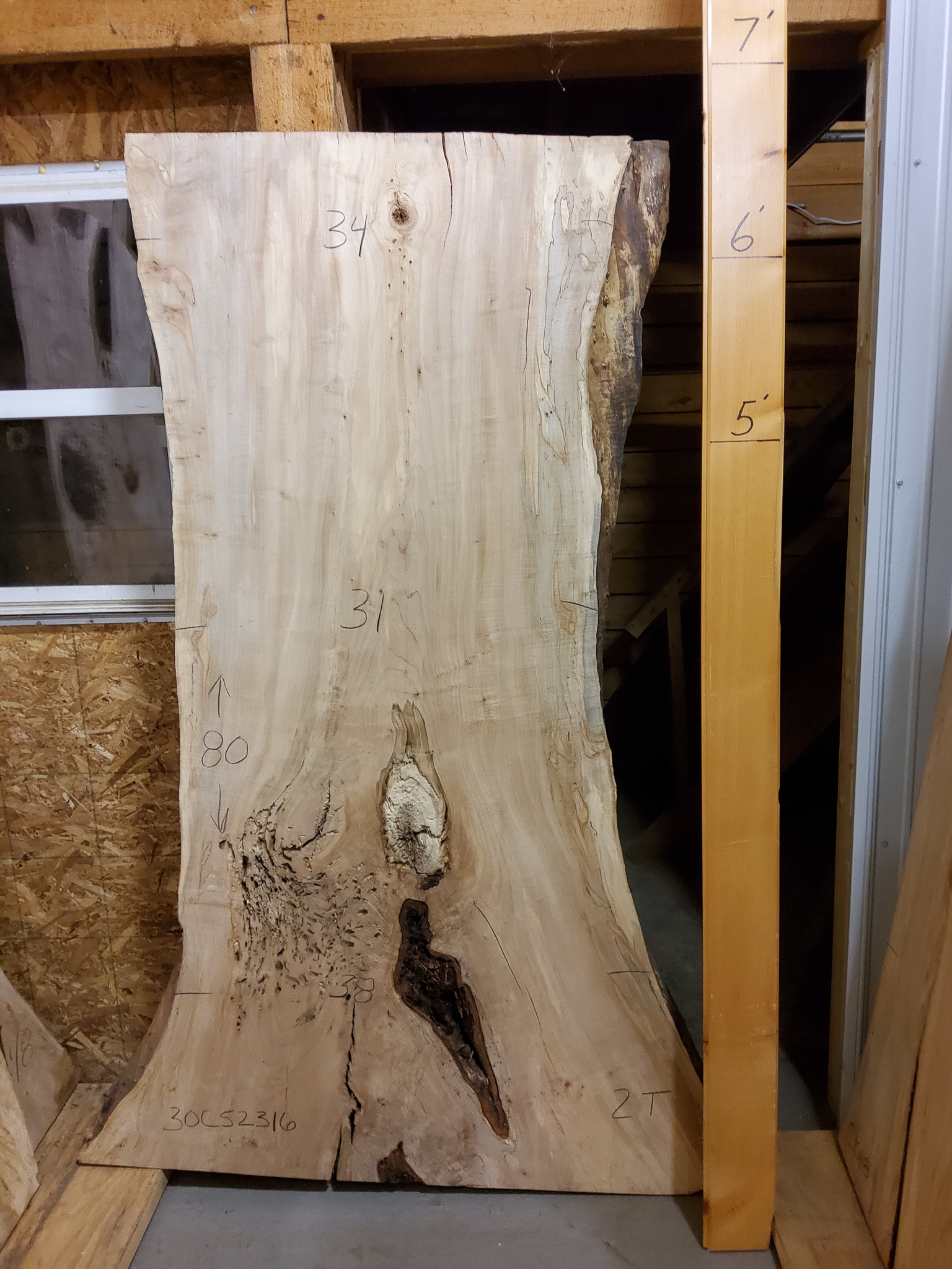 Hard Maple (Spalted) SKU-CIA5