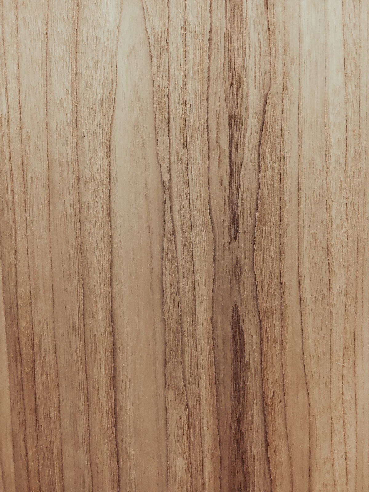 Grey Elm