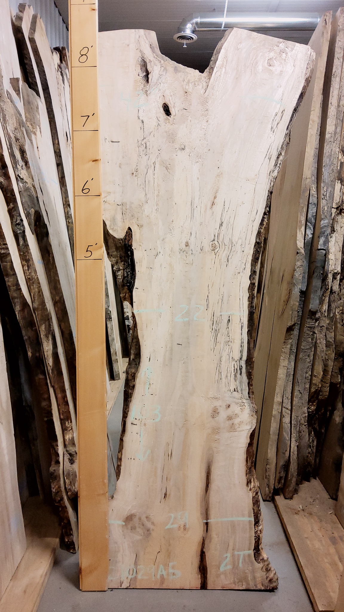 Hard Maple (Spalted) SKU-C1029A5