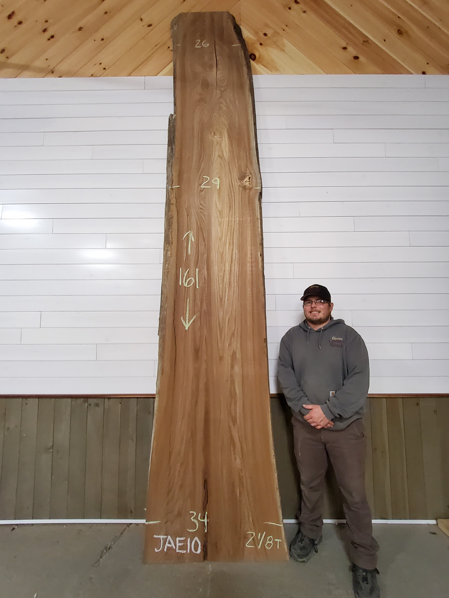 Scotch Elm SKU-JAE10