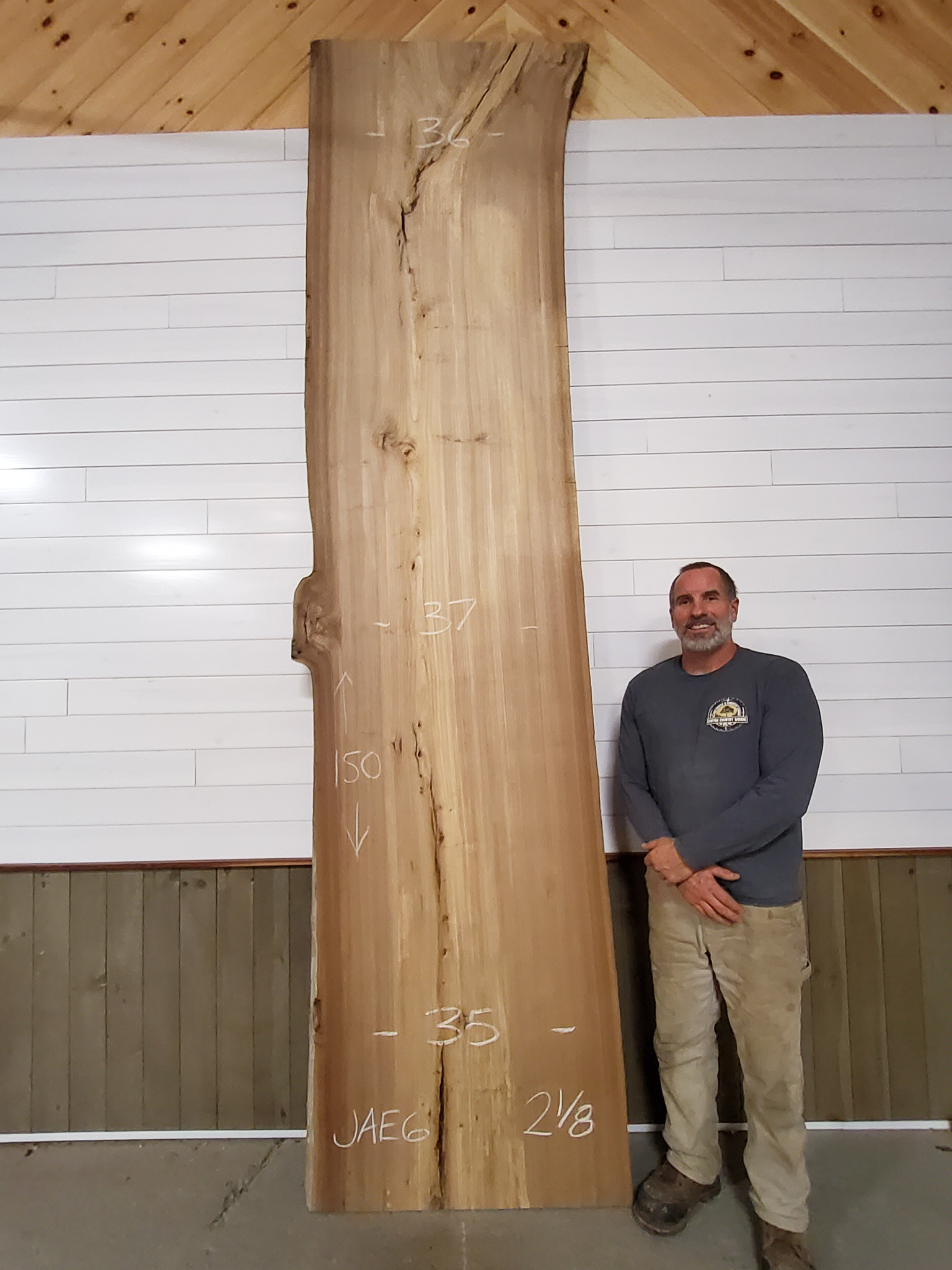 Scotch Elm SKU-JAE6