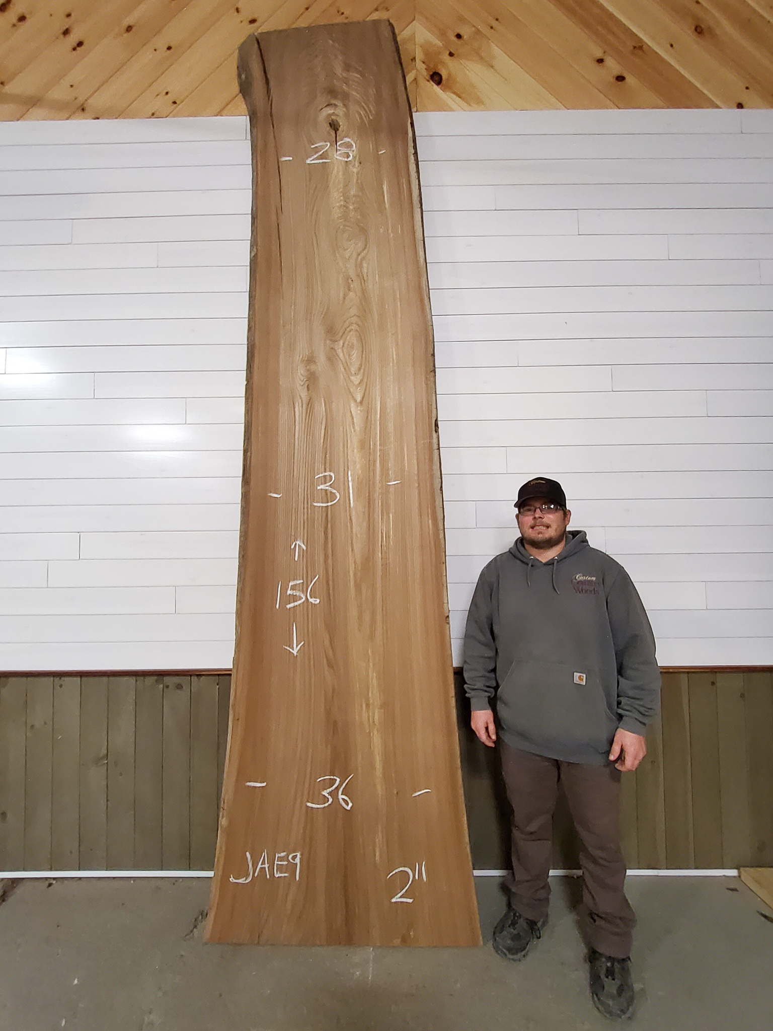 Scotch Elm SKU-JAE9