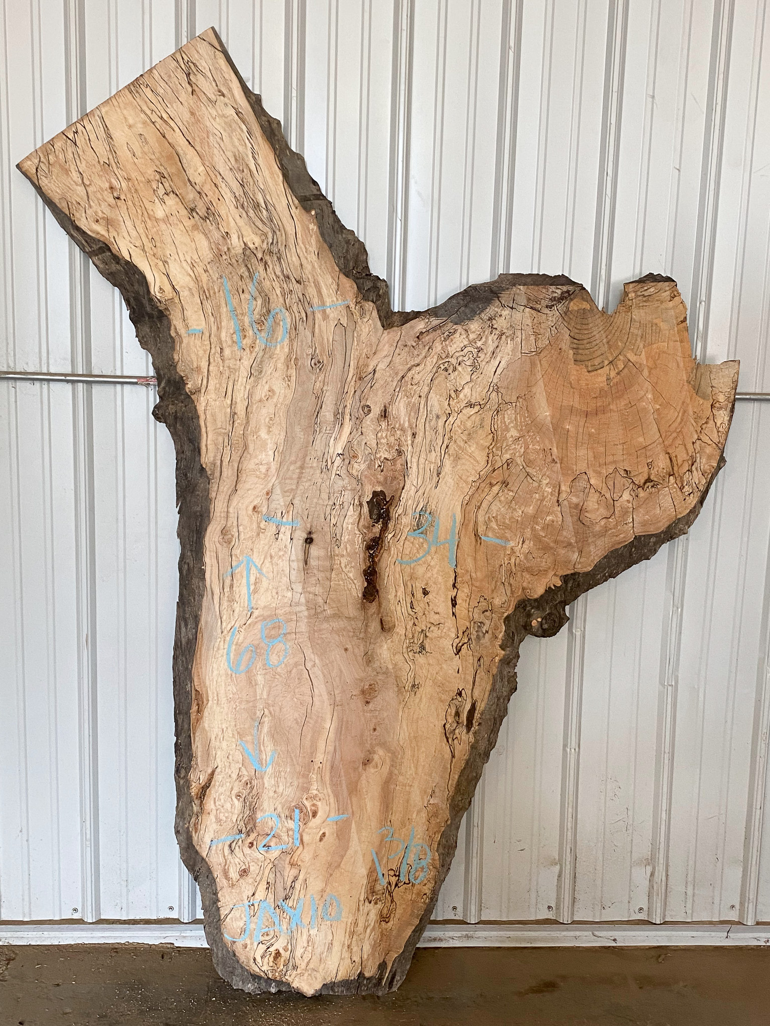 Soft Maple (Spalted) SKU-JAX10