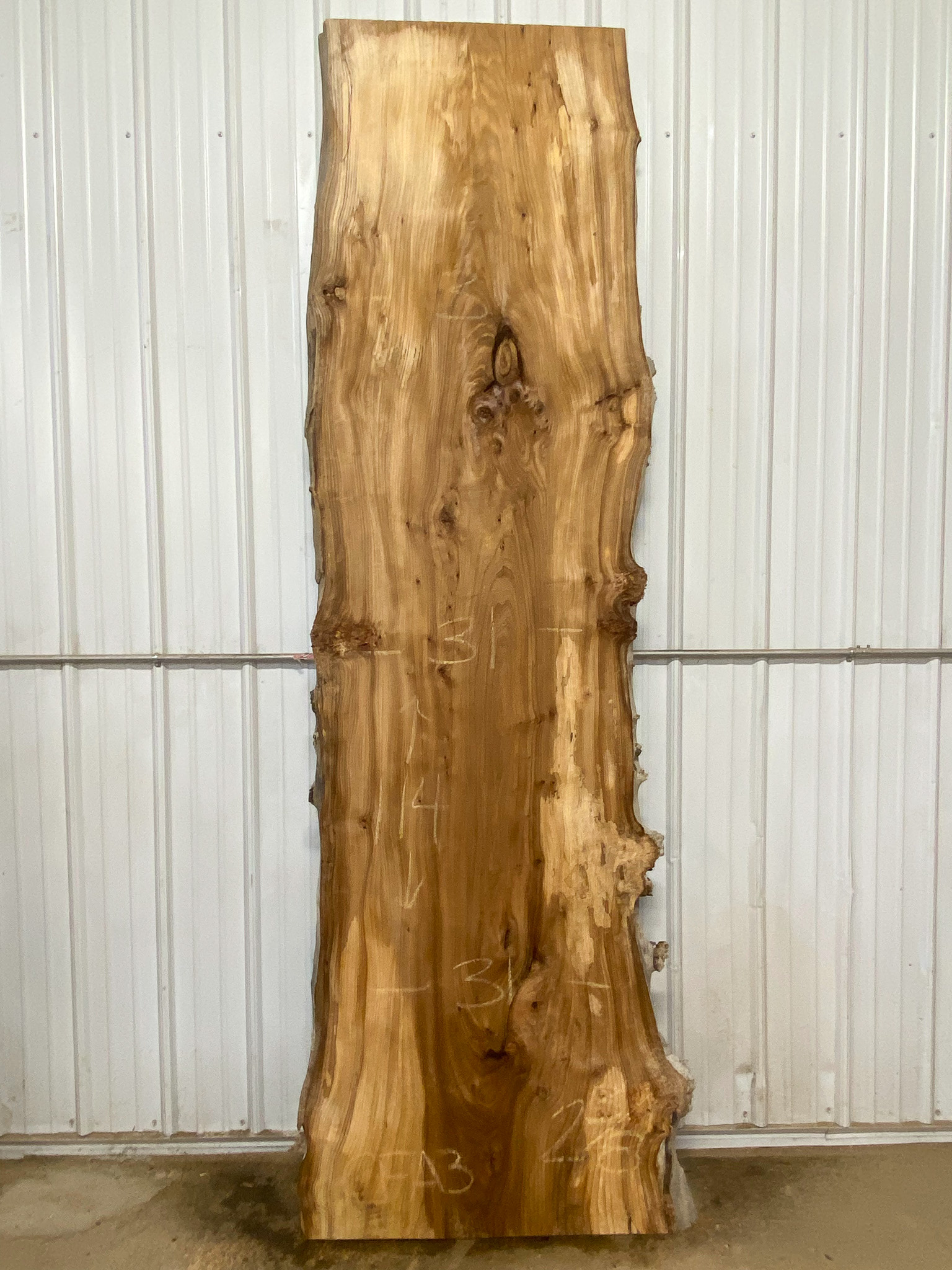 Red Elm SKU-CFA3