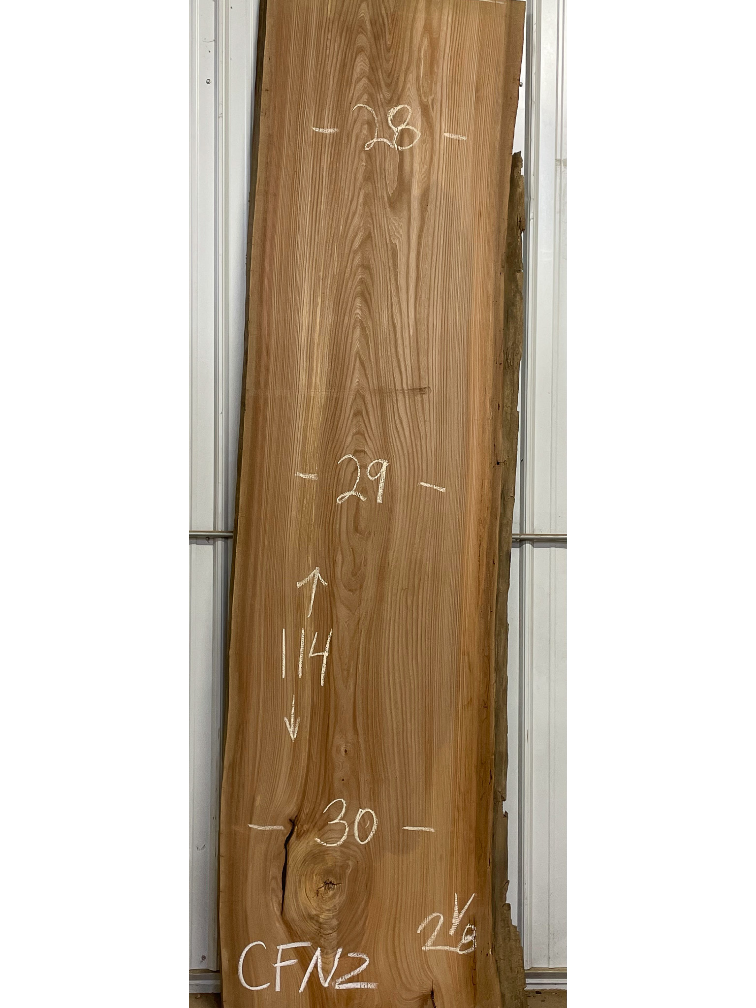 Red Elm SKU-CFN2