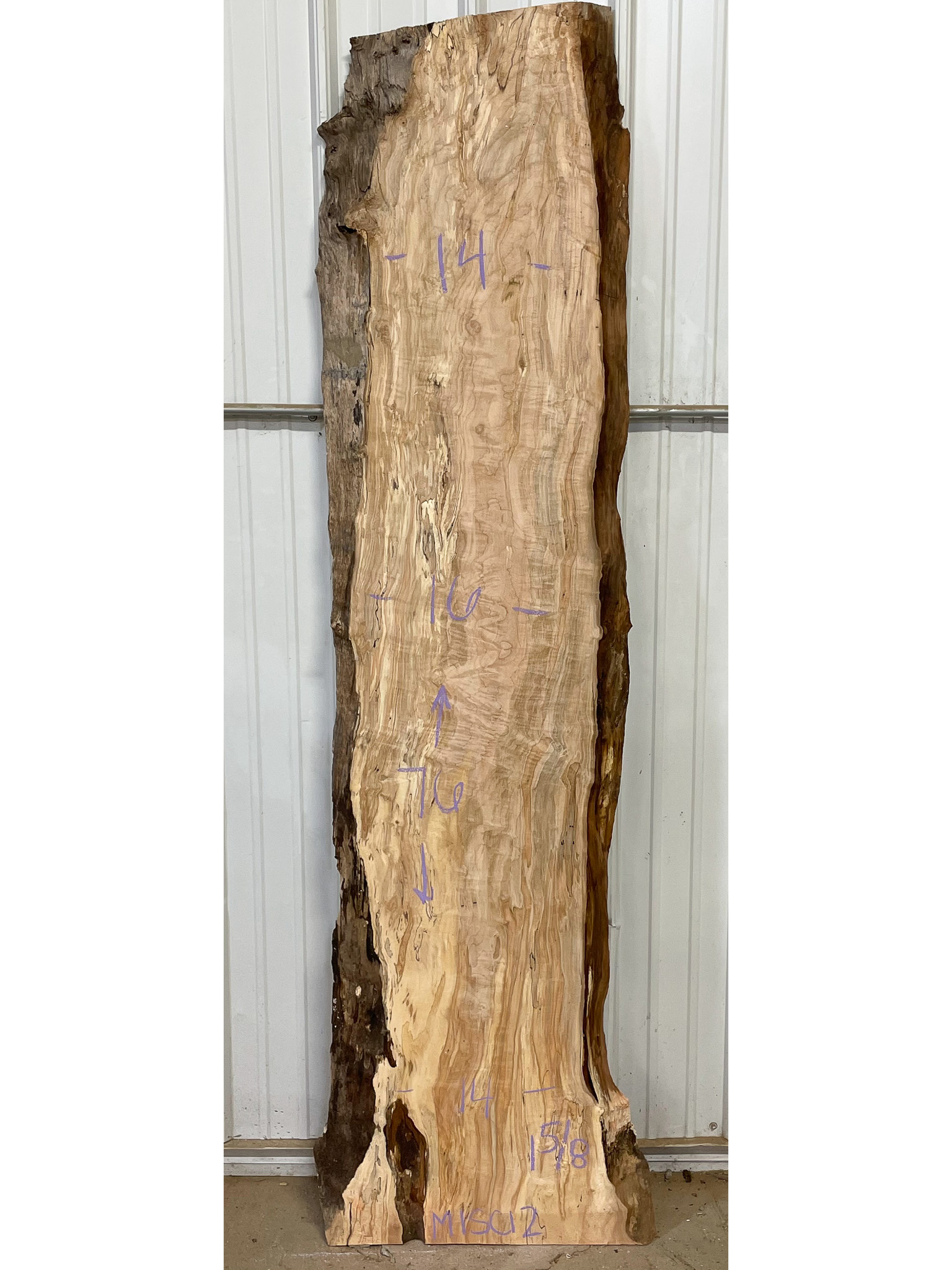 Soft Maple (Spalted) SKU-MISC12