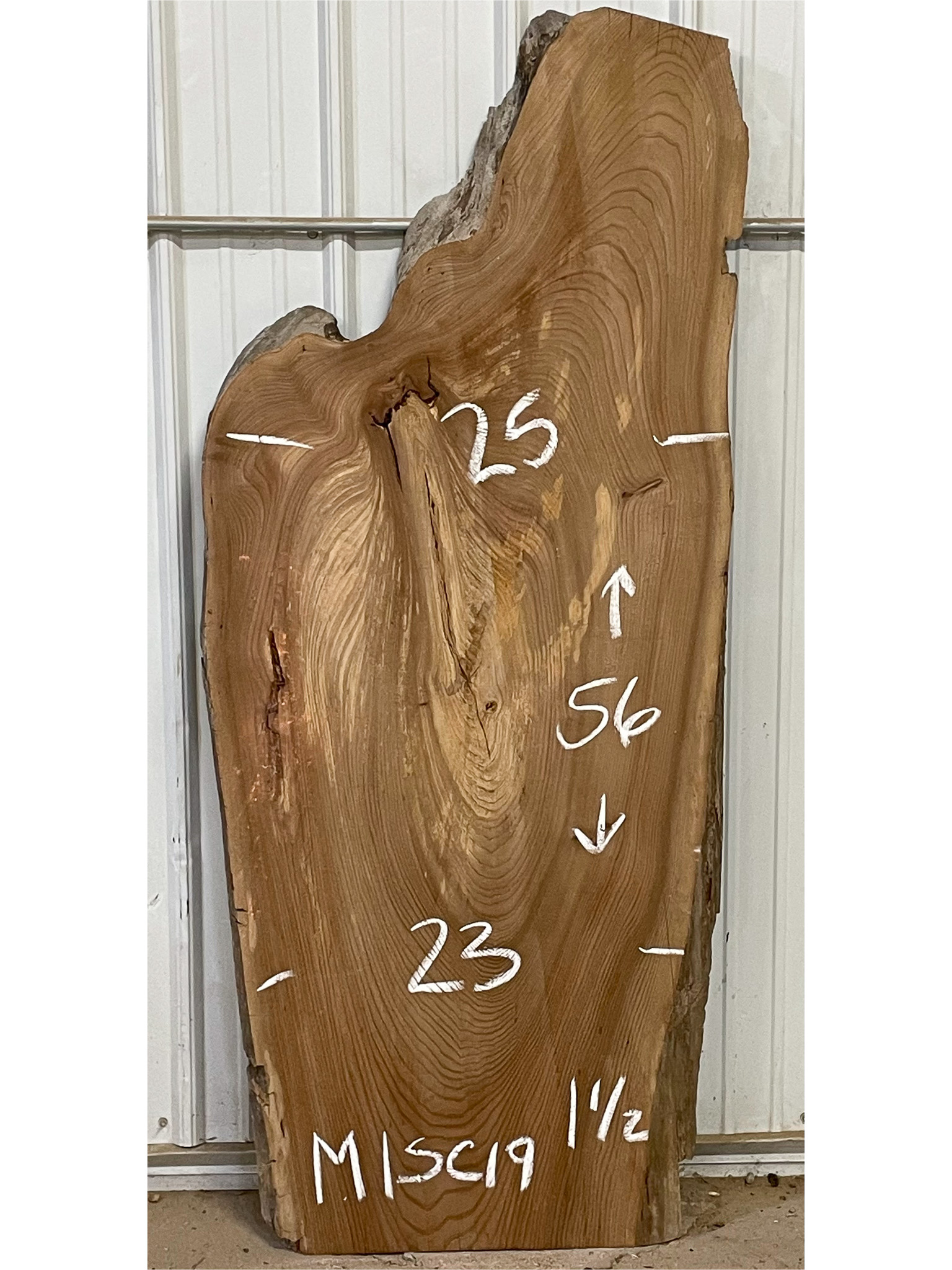 Scotch Elm SKU-MISC19