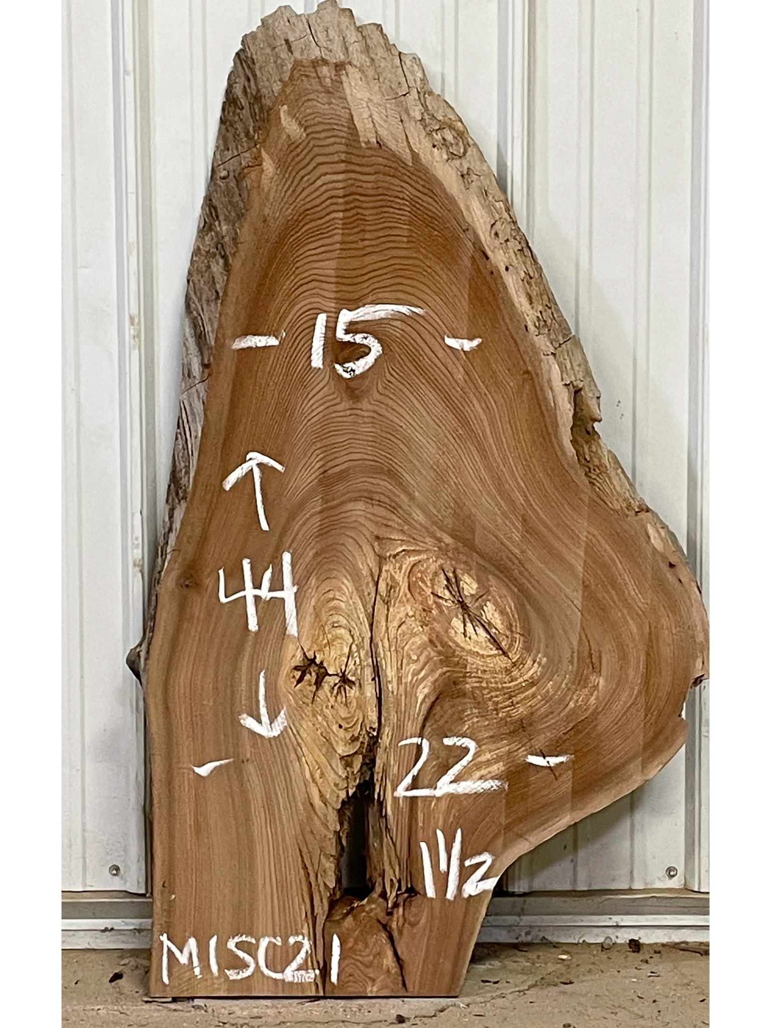 Scotch Elm SKU-MISC21