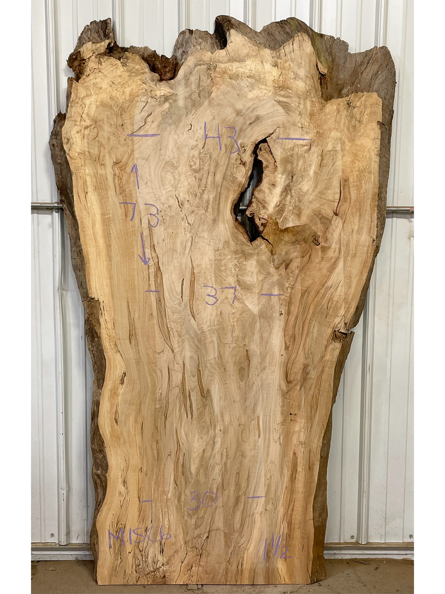 Soft Maple (Spalted) SKU-MISC6