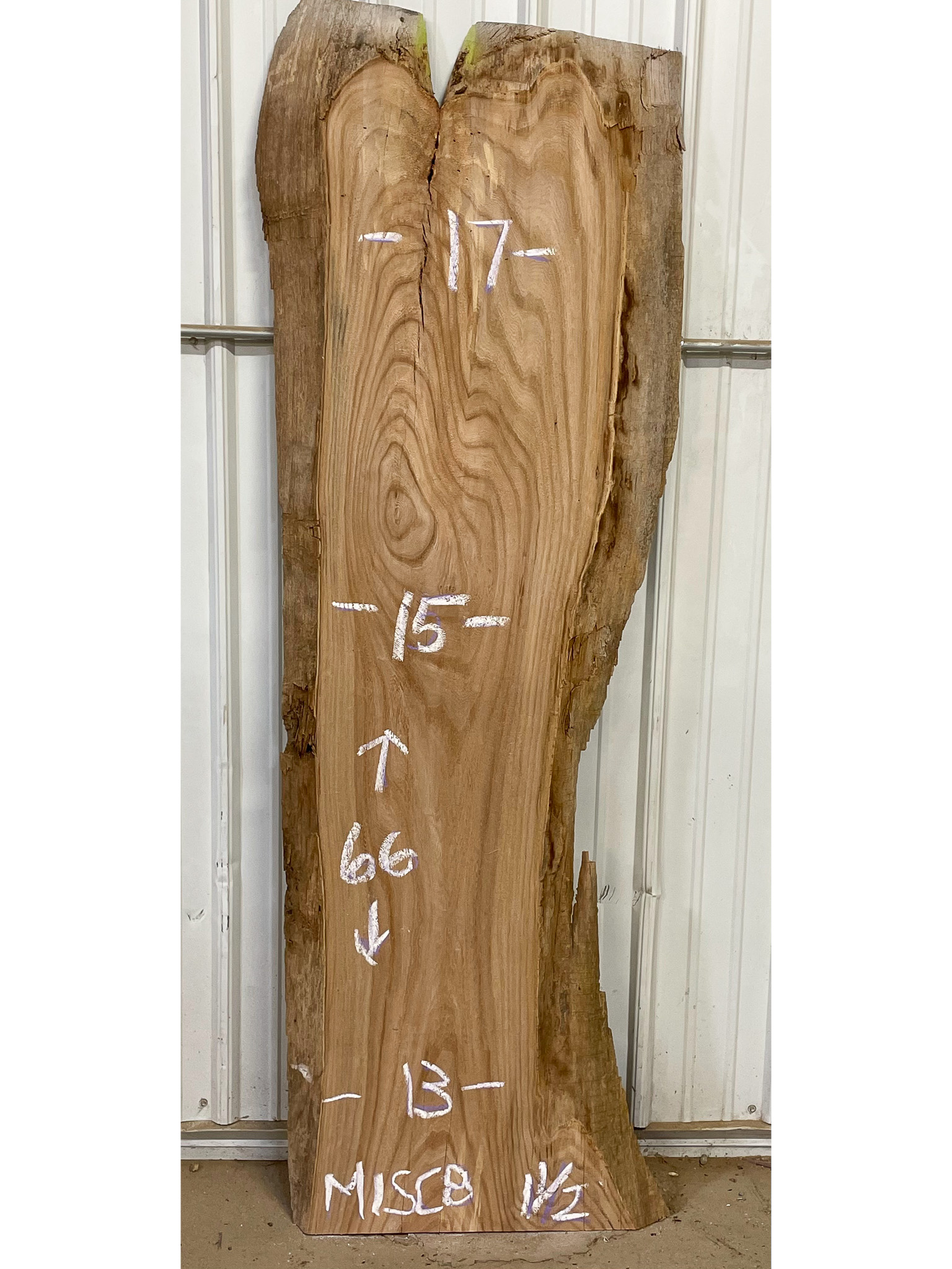 Scotch Elm SKU-MISC8